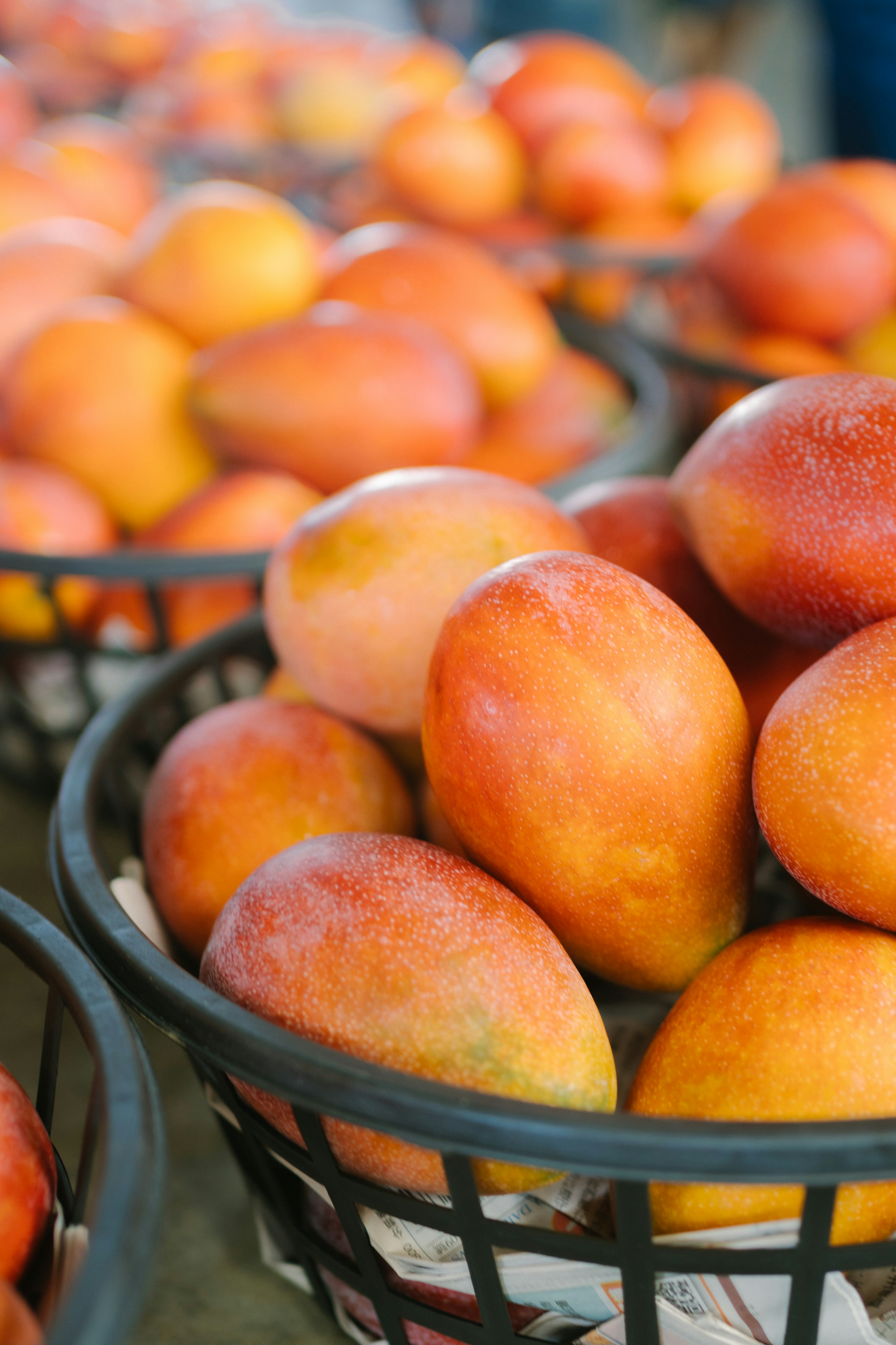 Lebendige Mangos in geflochtenen Körben präsentiert