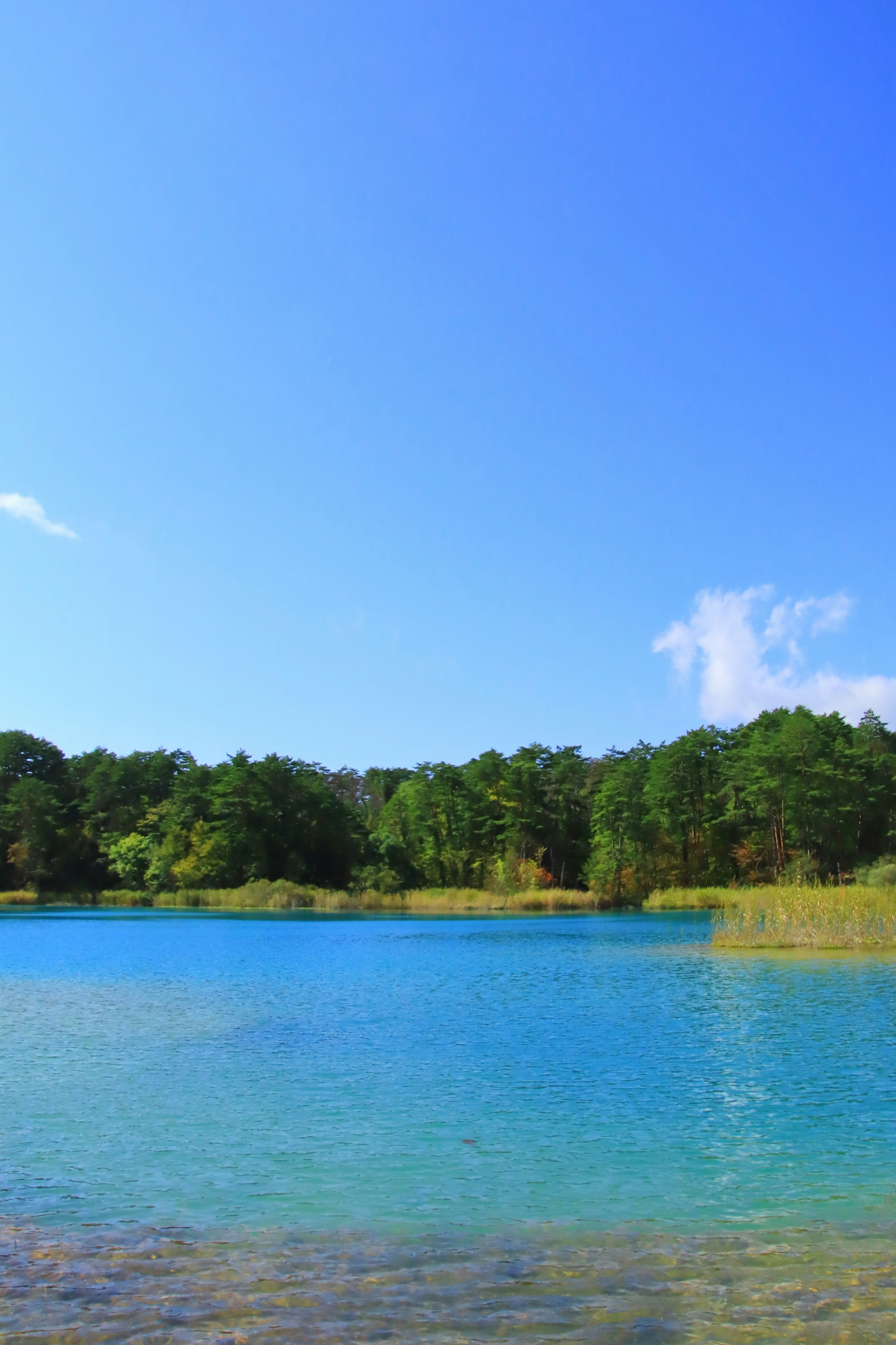 Vista panoramica di un lago blu circondato da alberi verdi lussureggianti