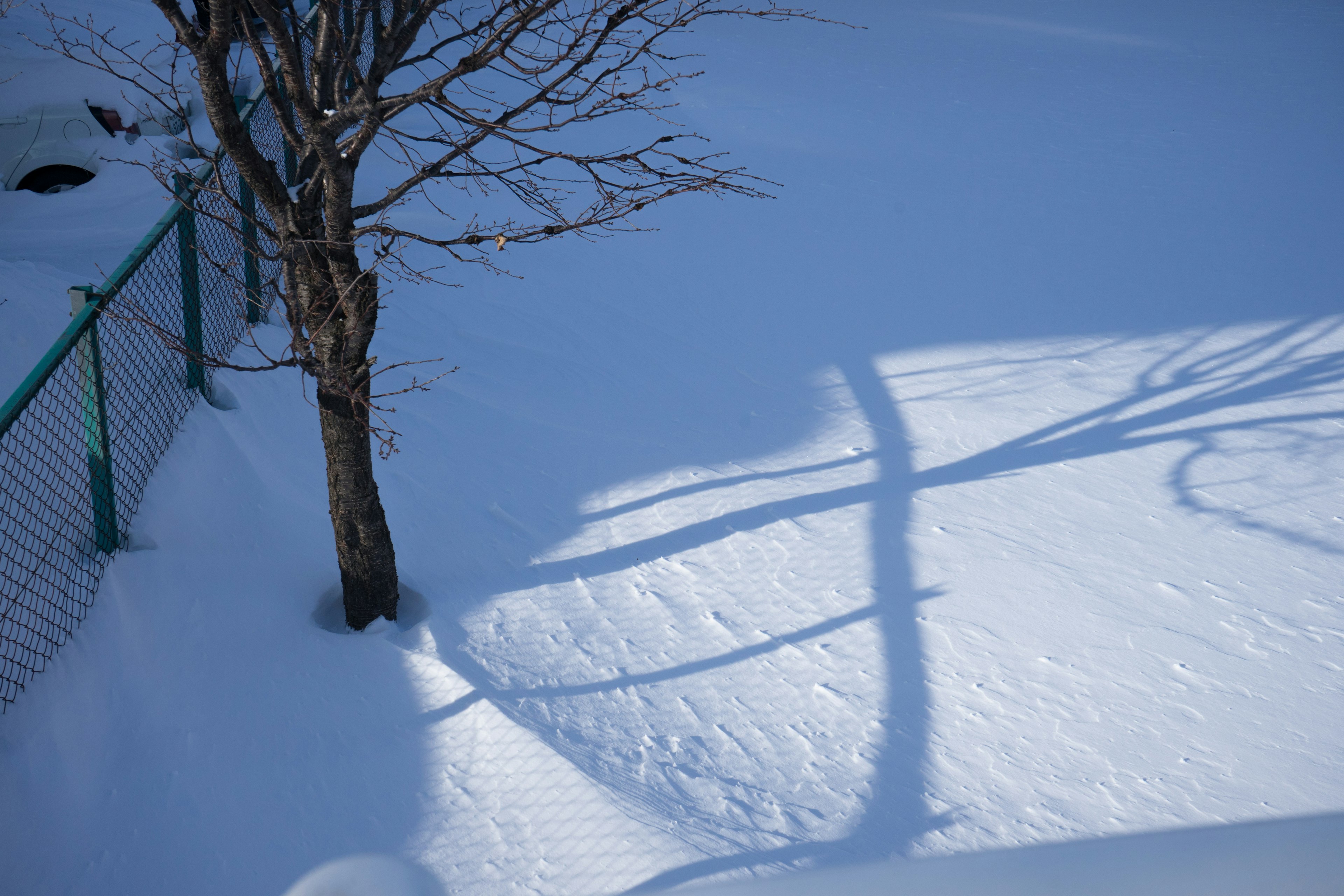 Snow-covered landscape with tree shadows