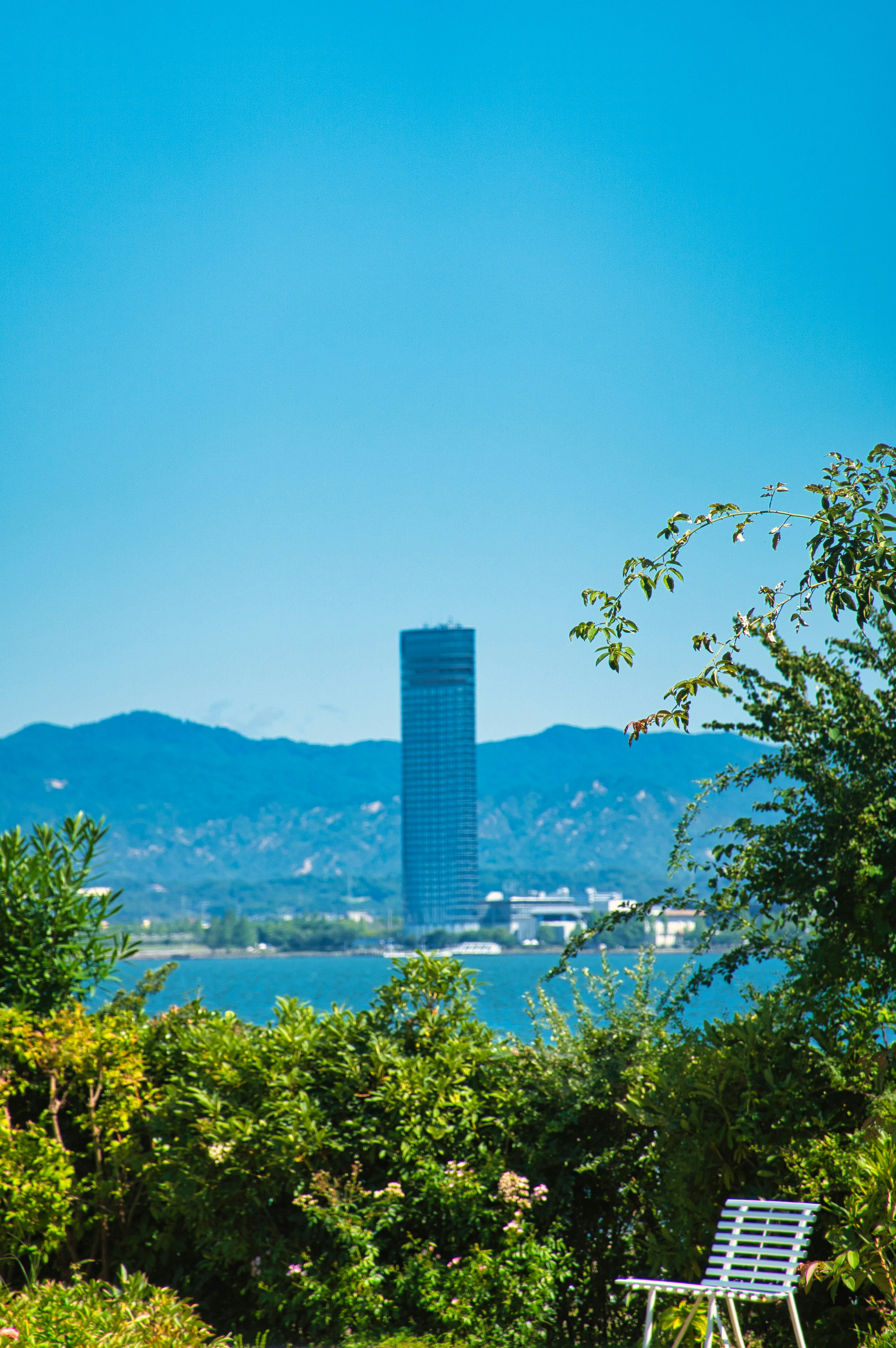 Tall skyscraper under a blue sky surrounded by lush greenery