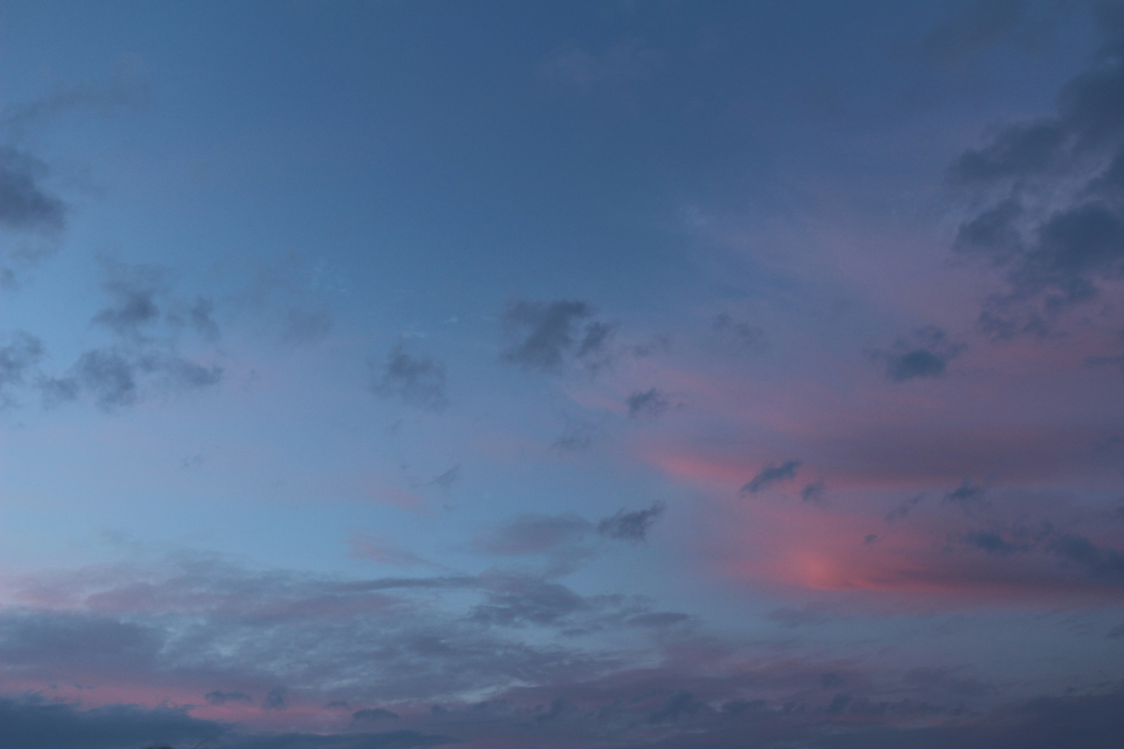 青い空に淡いピンクの雲が広がる美しい夕焼け