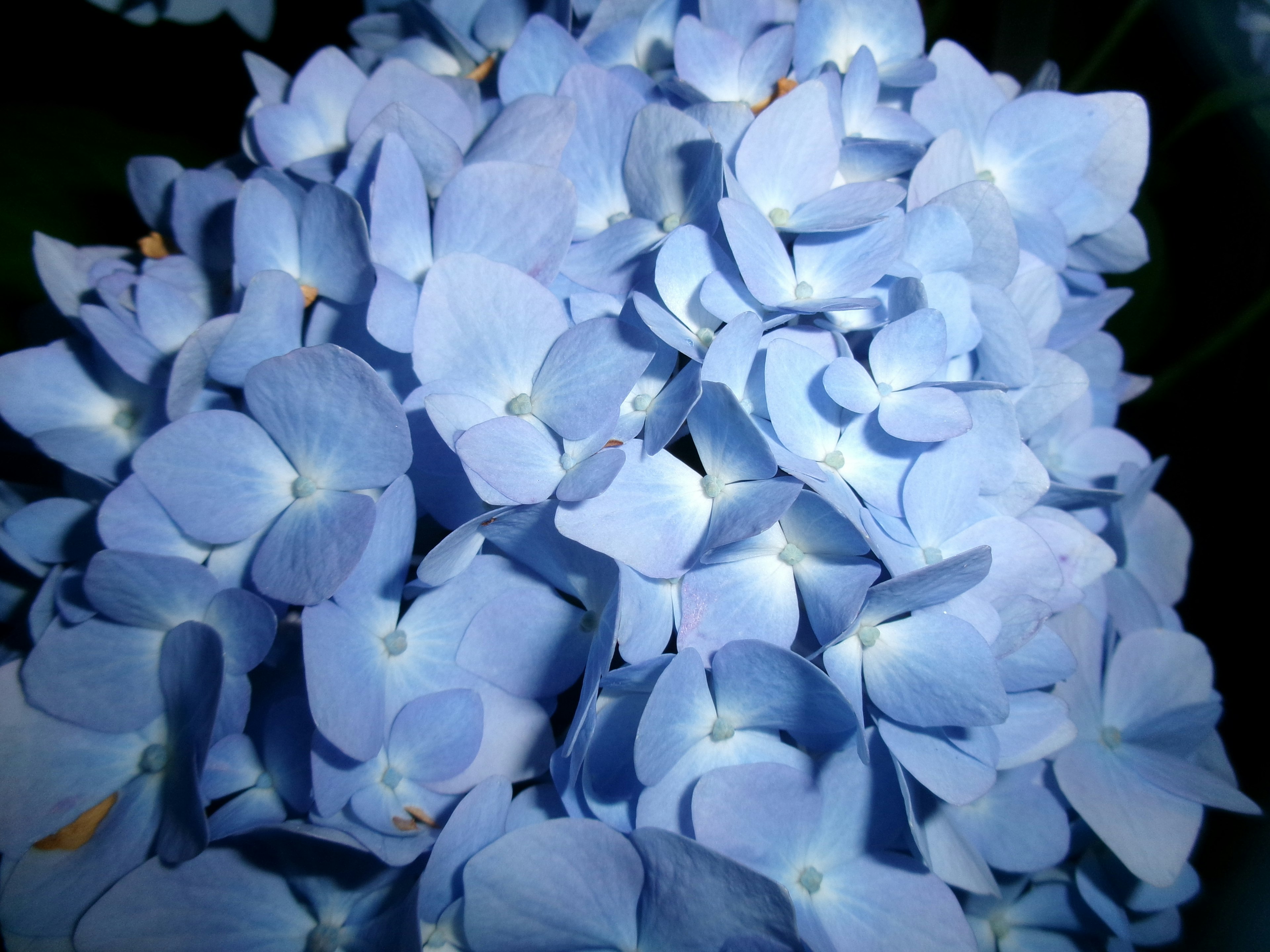 photo-pX1VYsaP4u8V8xC3YKG9-image