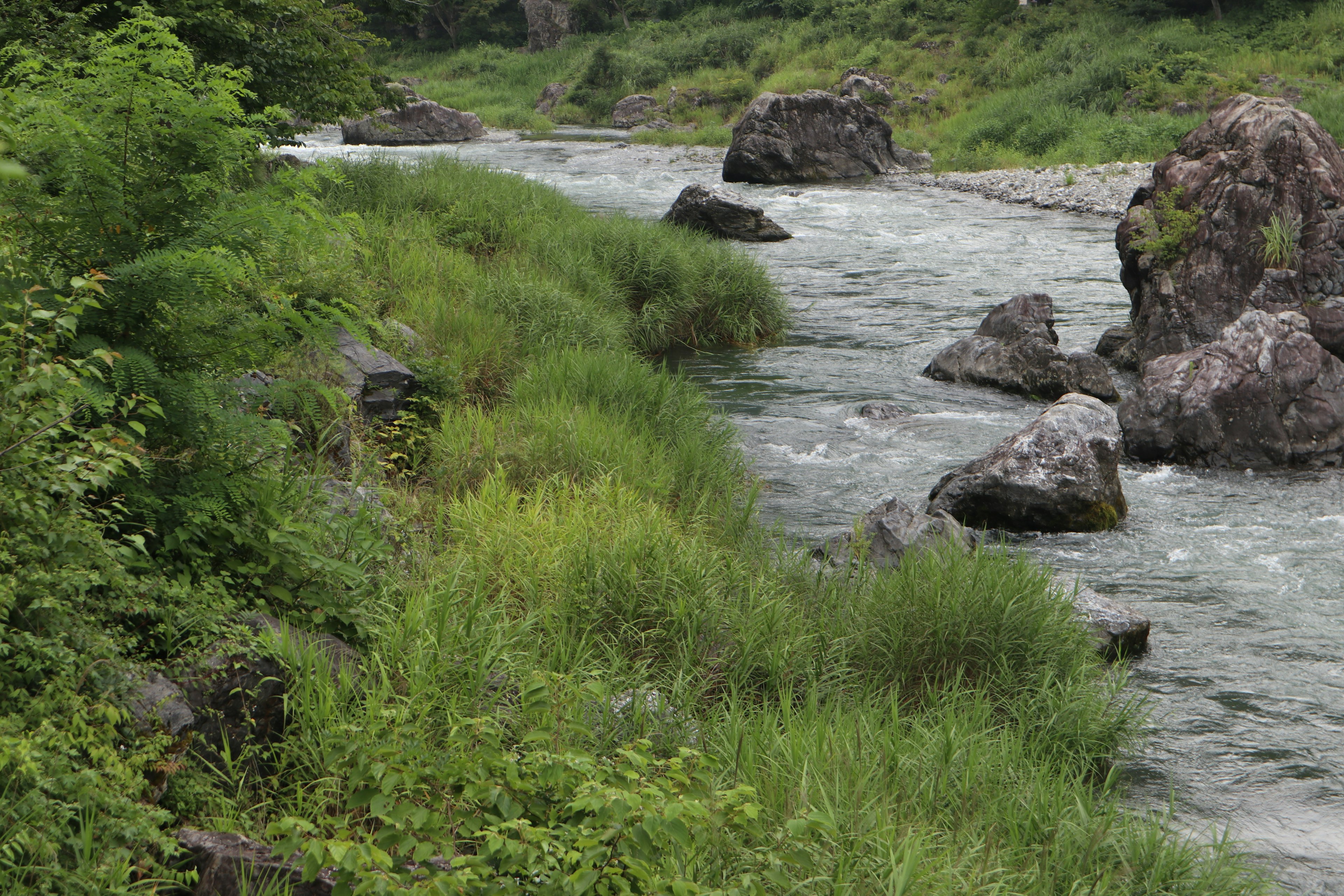 Prairie verdoyante et rochers éparpillés le long d'une rivière qui coule