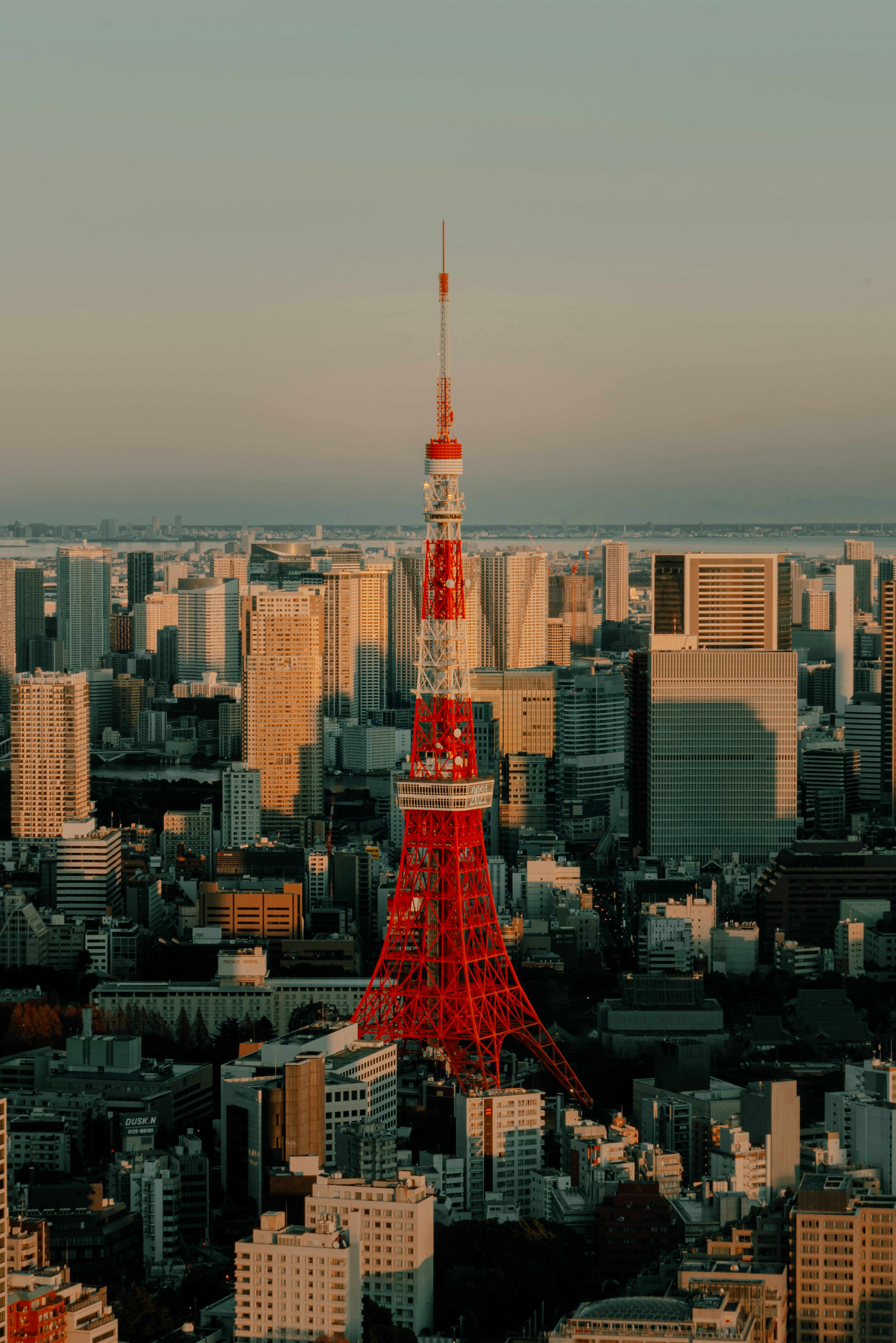 東京タワーが夕日を背景に浮かび上がる都市の風景