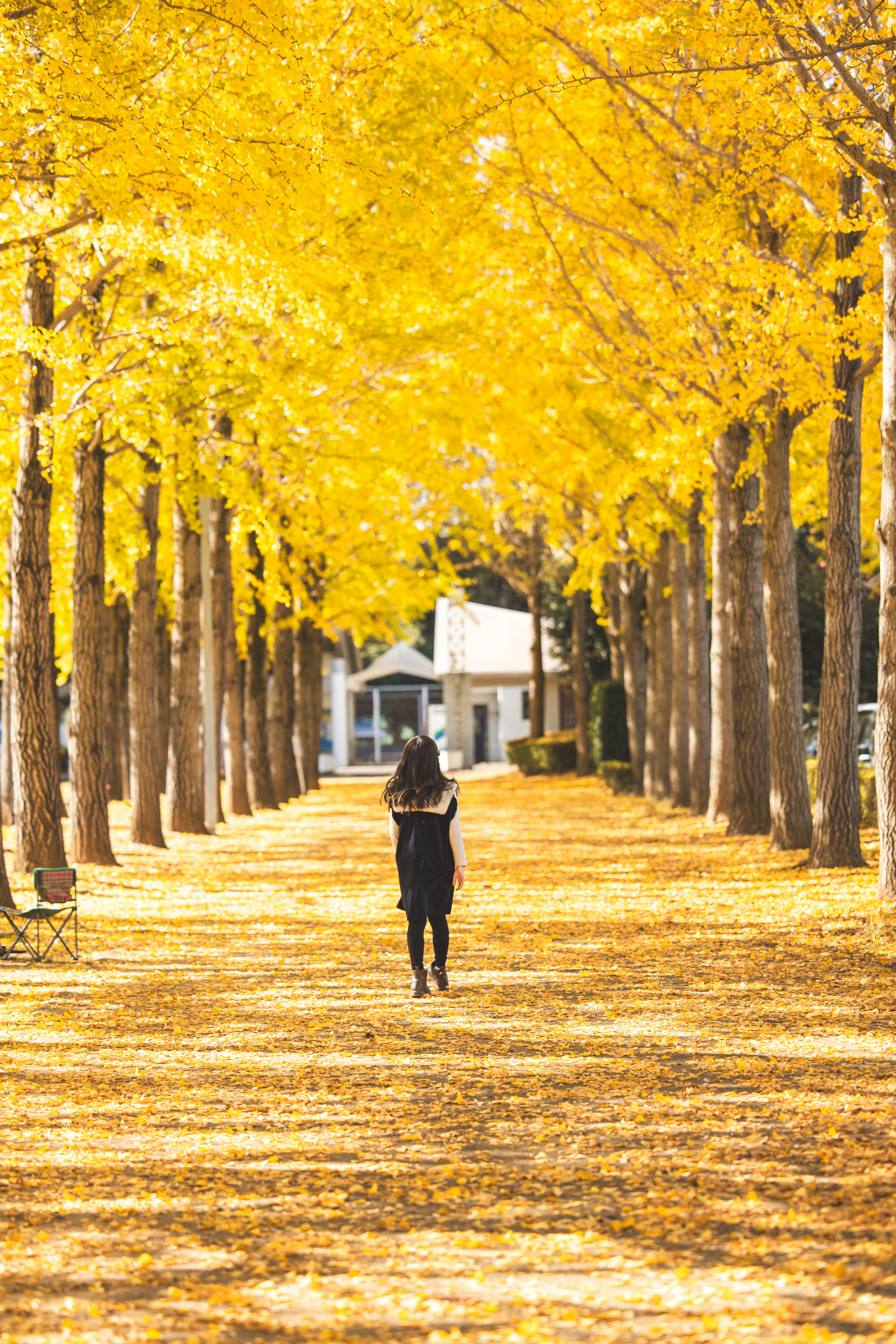 A woman walking down a tree-lined path covered in yellow leaves