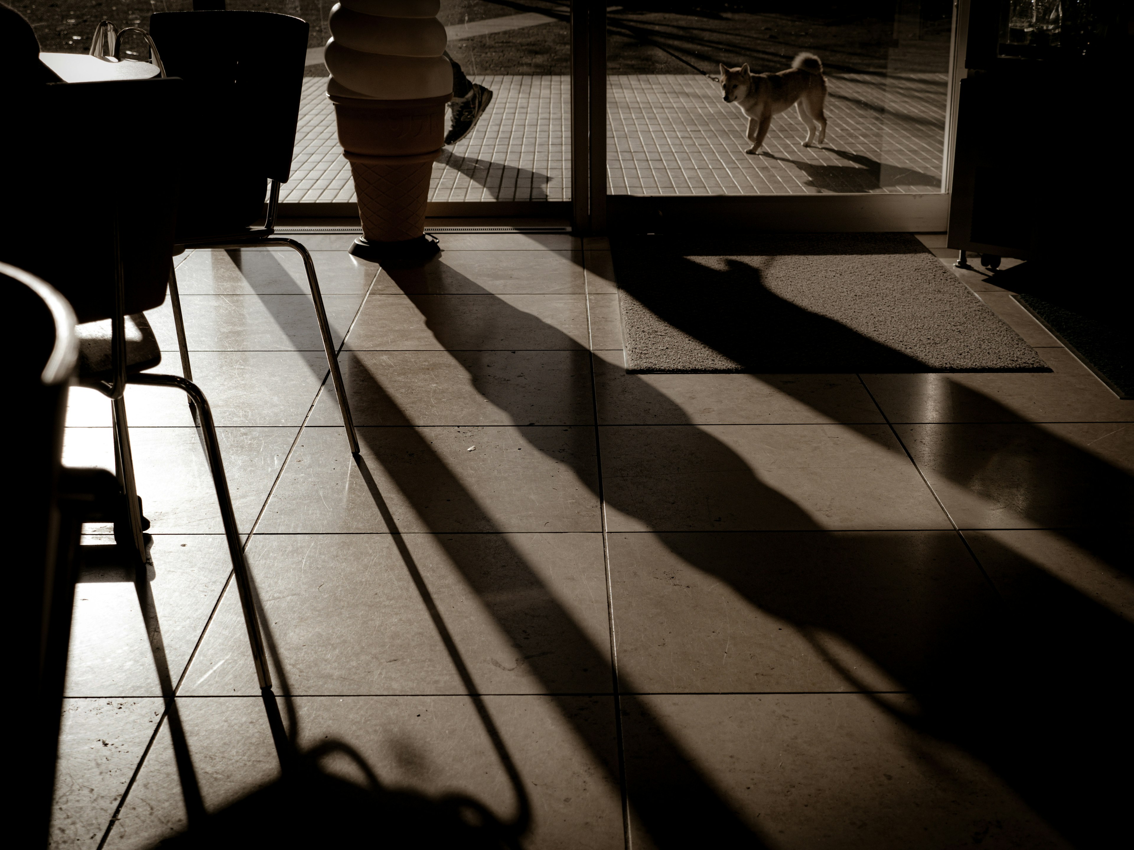 Scena interna con lunghe ombre e un cane fuori