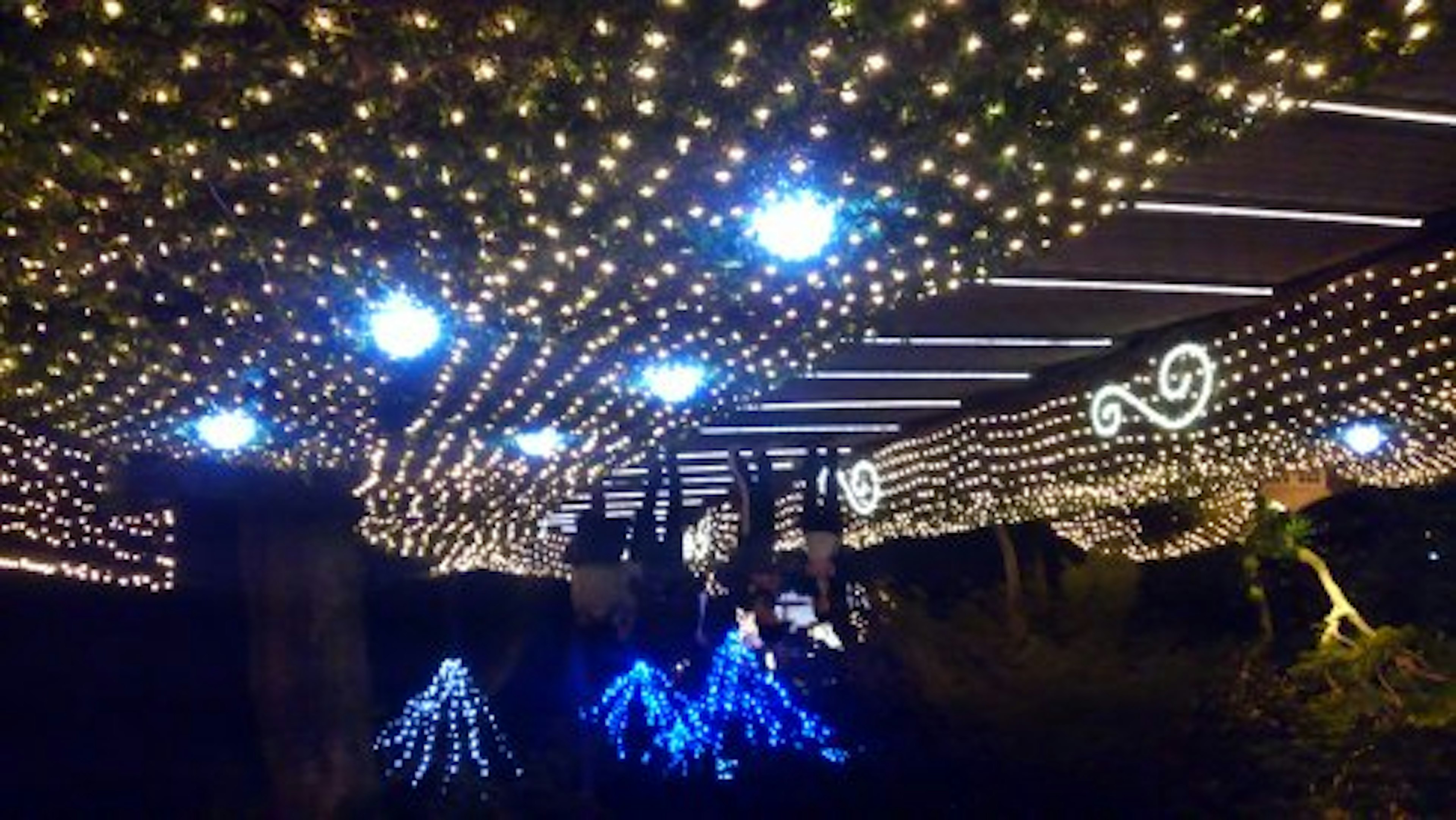 Beau tunnel décoré de lumières décoratives scintillantes la nuit