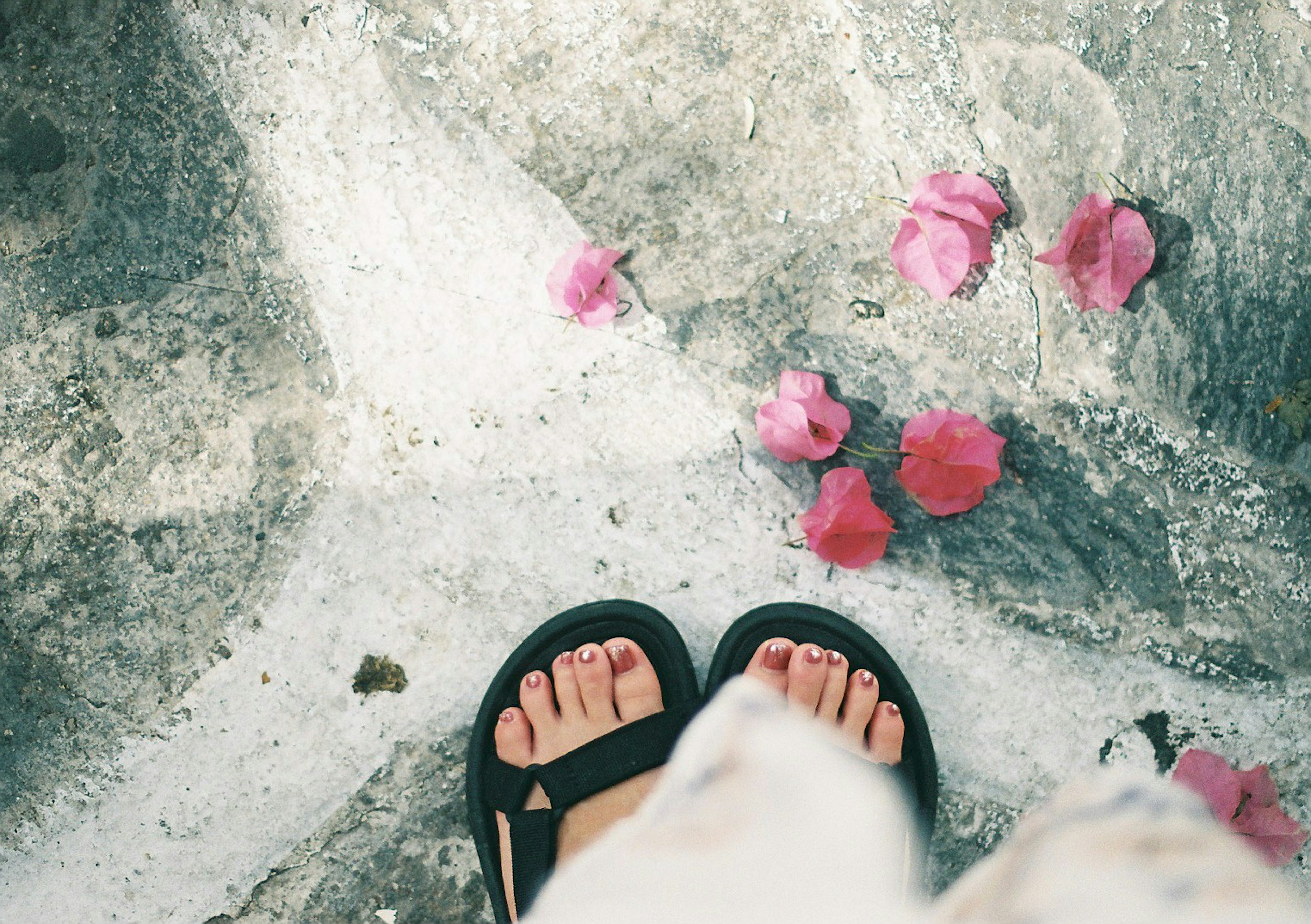 足元に散らばるピンクの花びらとサンダルの写真