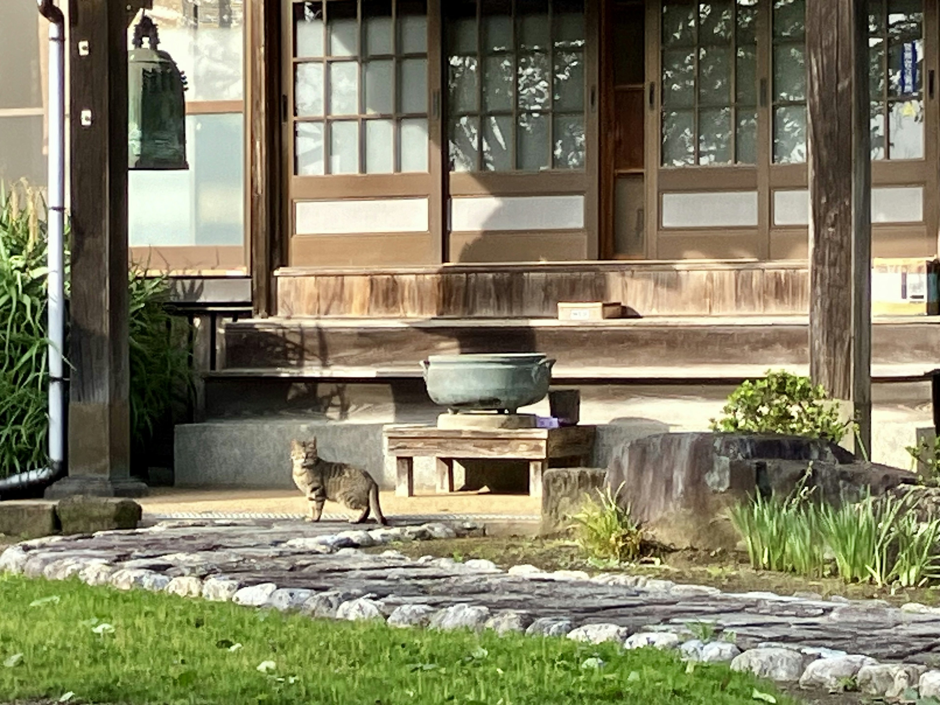 Un gatto davanti a una casa giapponese tradizionale