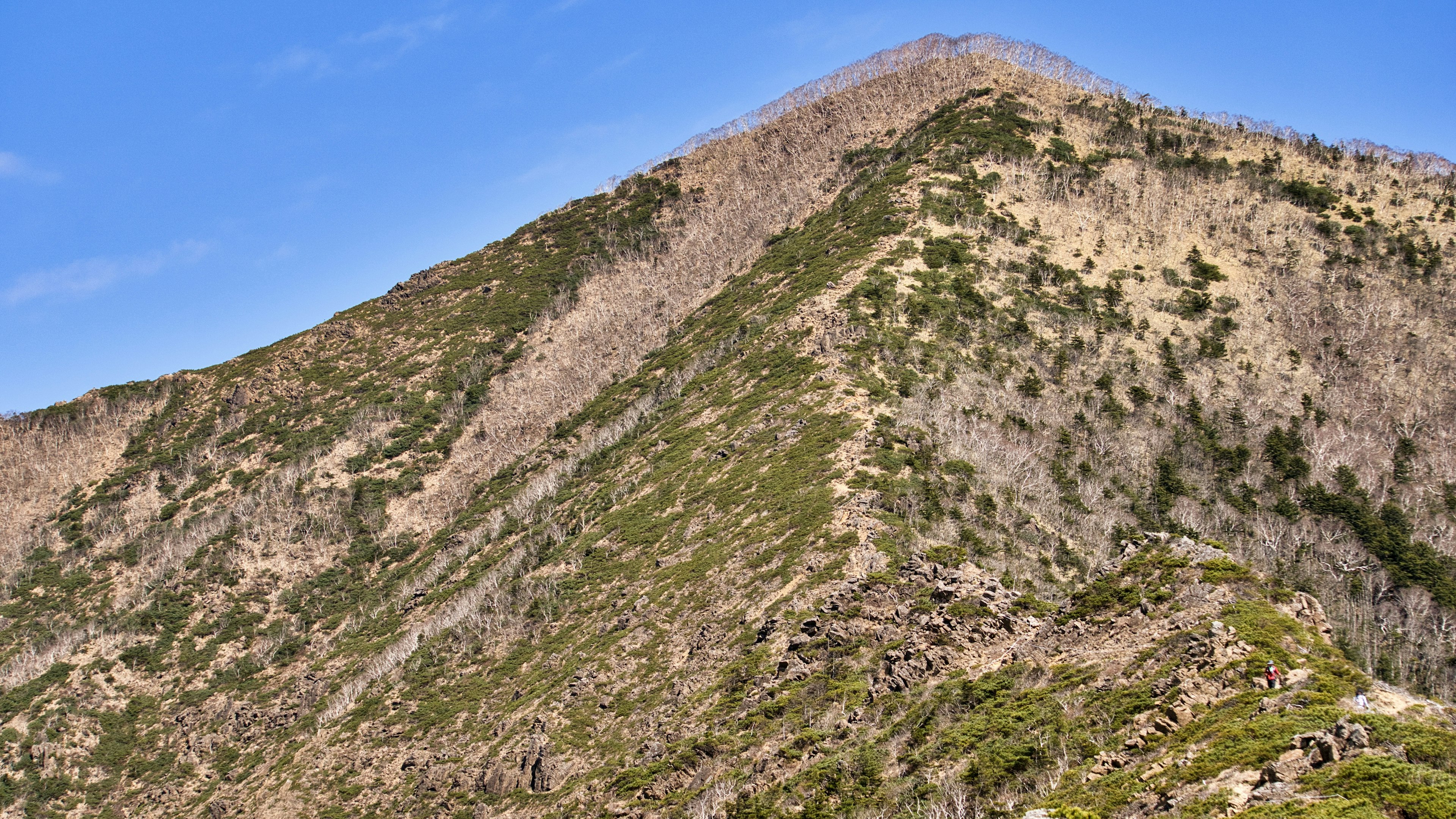 Eine Landschaft mit einem Berghang mit grüner und brauner Vegetation