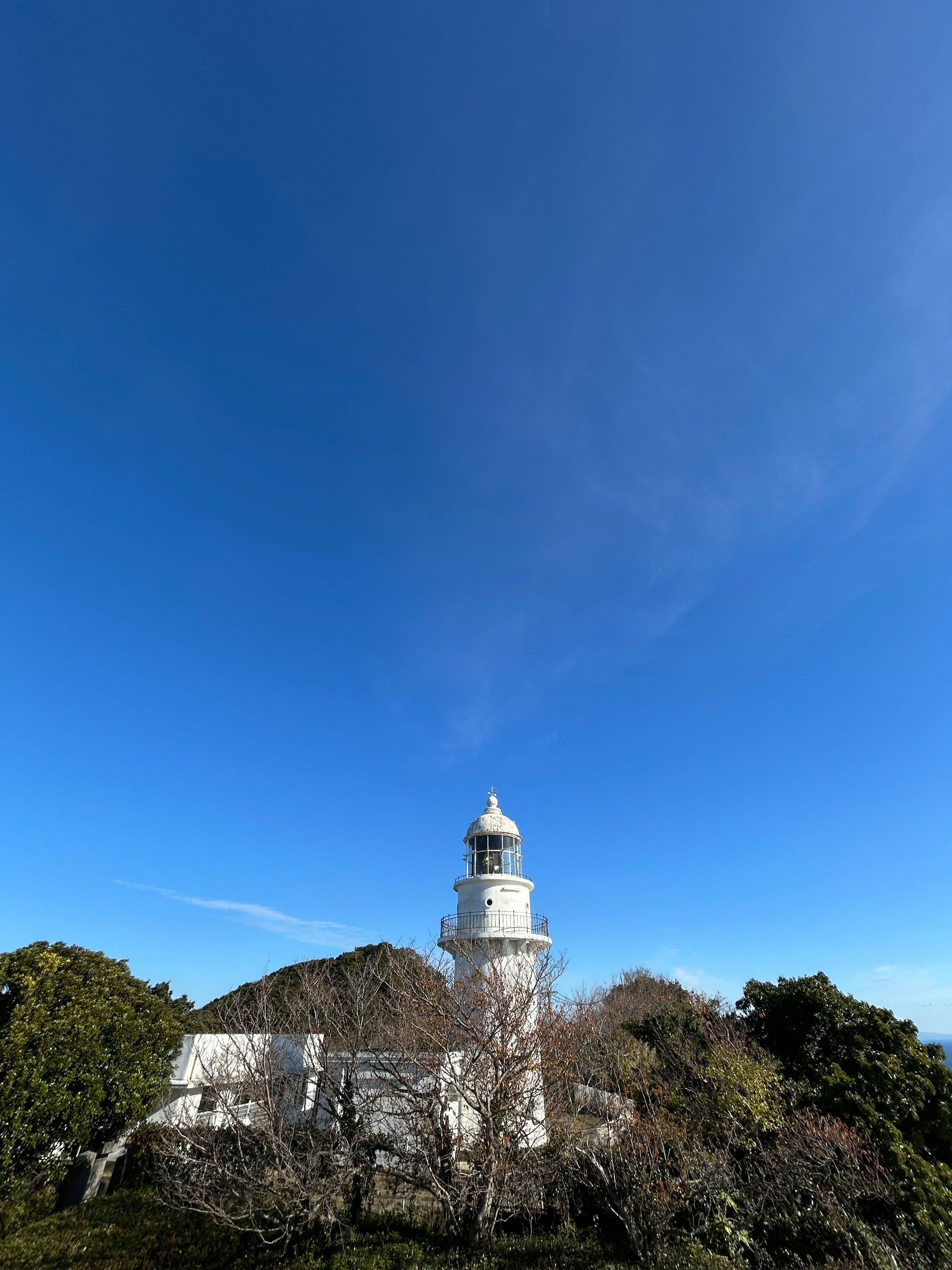 A white lighthouse surrounded by lush greenery under a clear blue sky