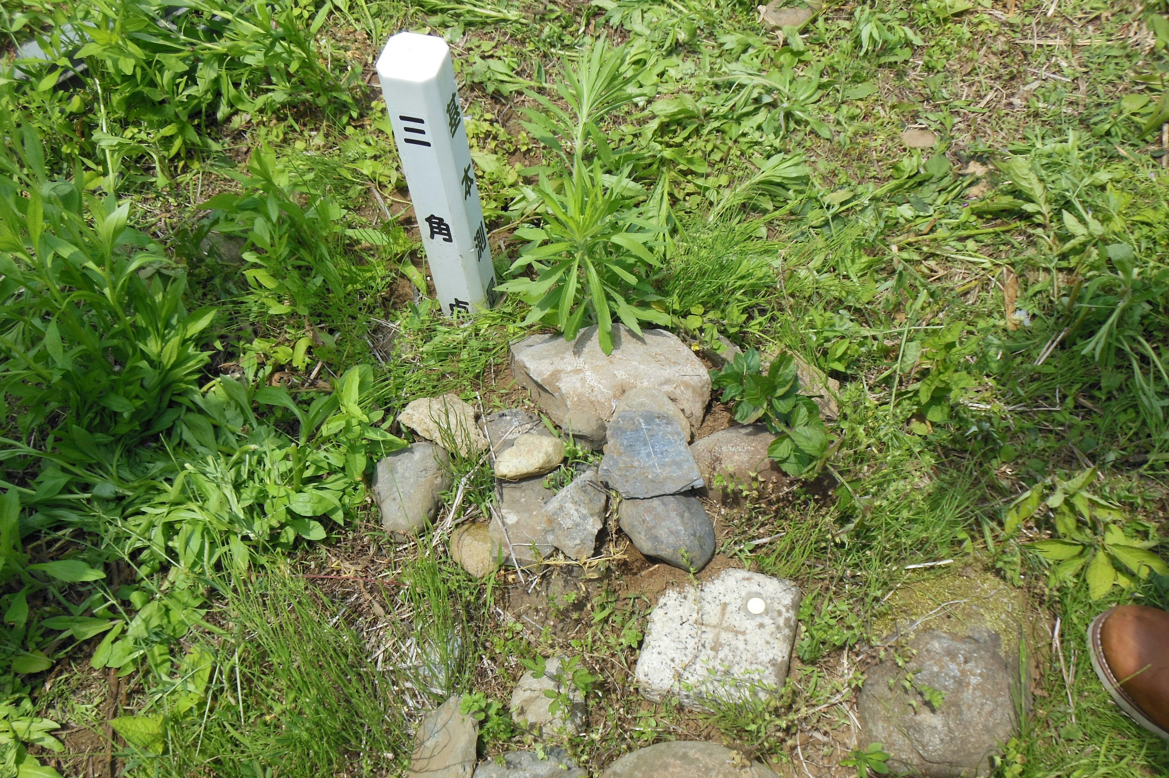 Eine Landschaft mit einem Steinschild umgeben von Gras und einem weißen Pfosten