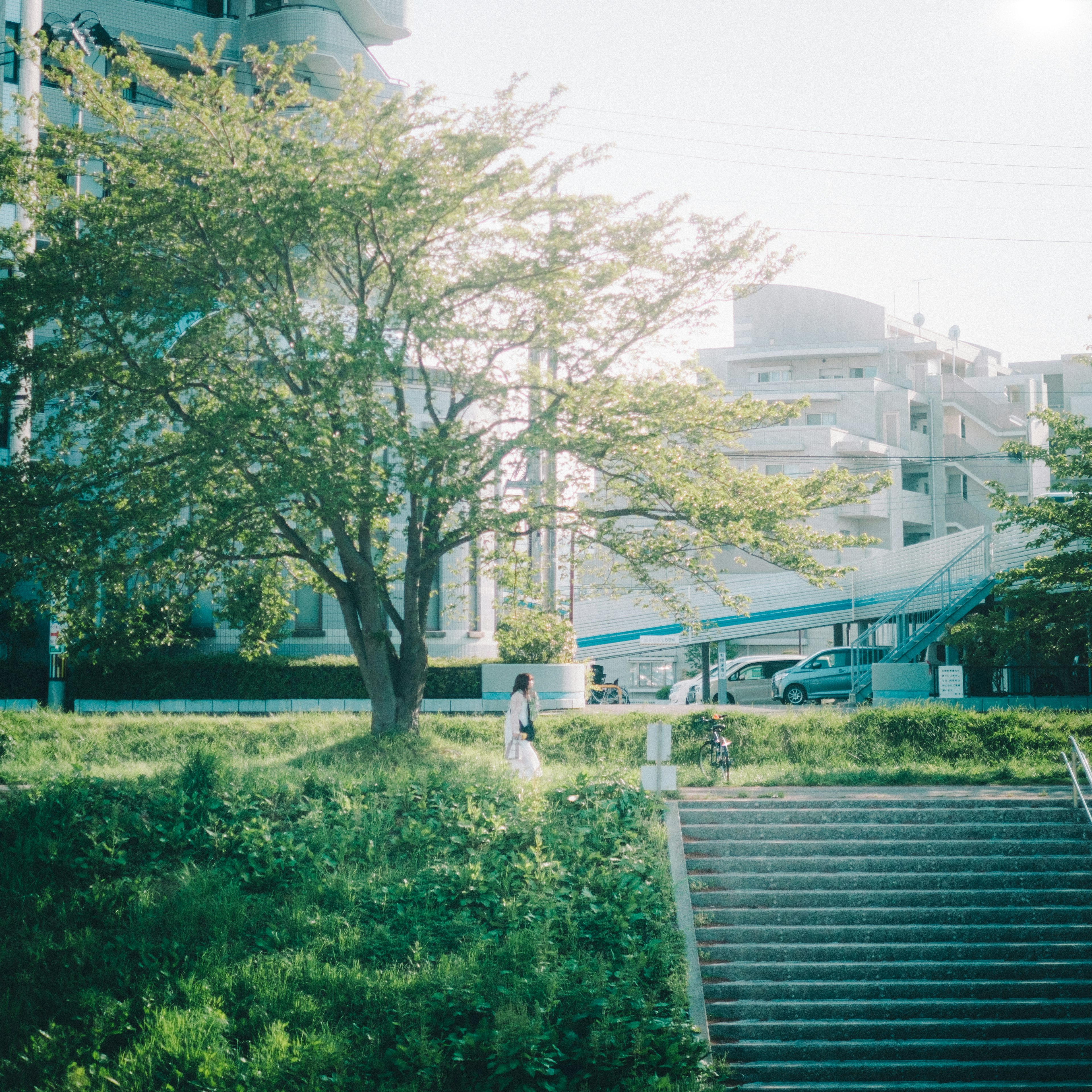 A woman standing in front of green grass and stairs with surrounding buildings