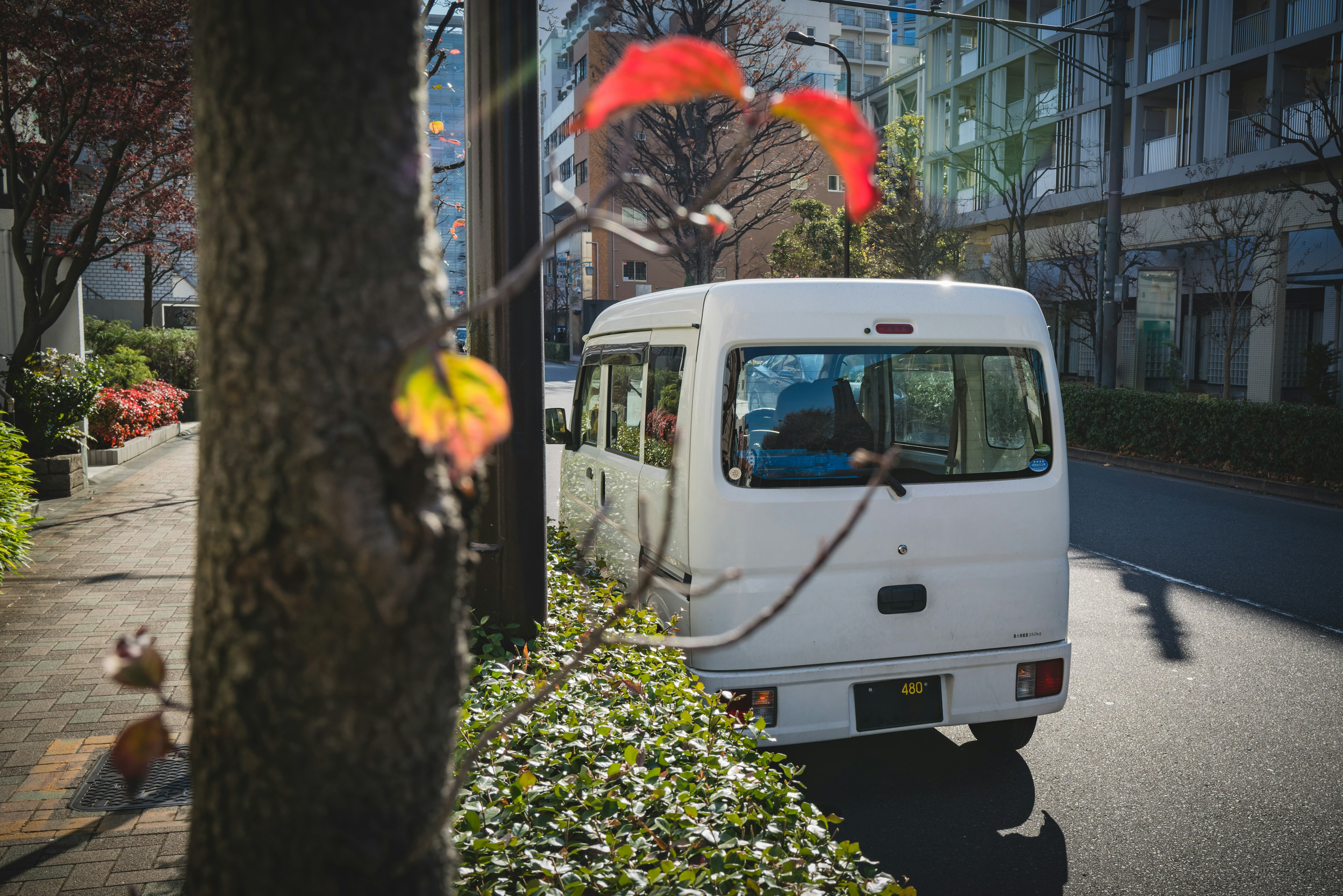 白いバンが通りに停まっている様子と秋の葉が背景にある