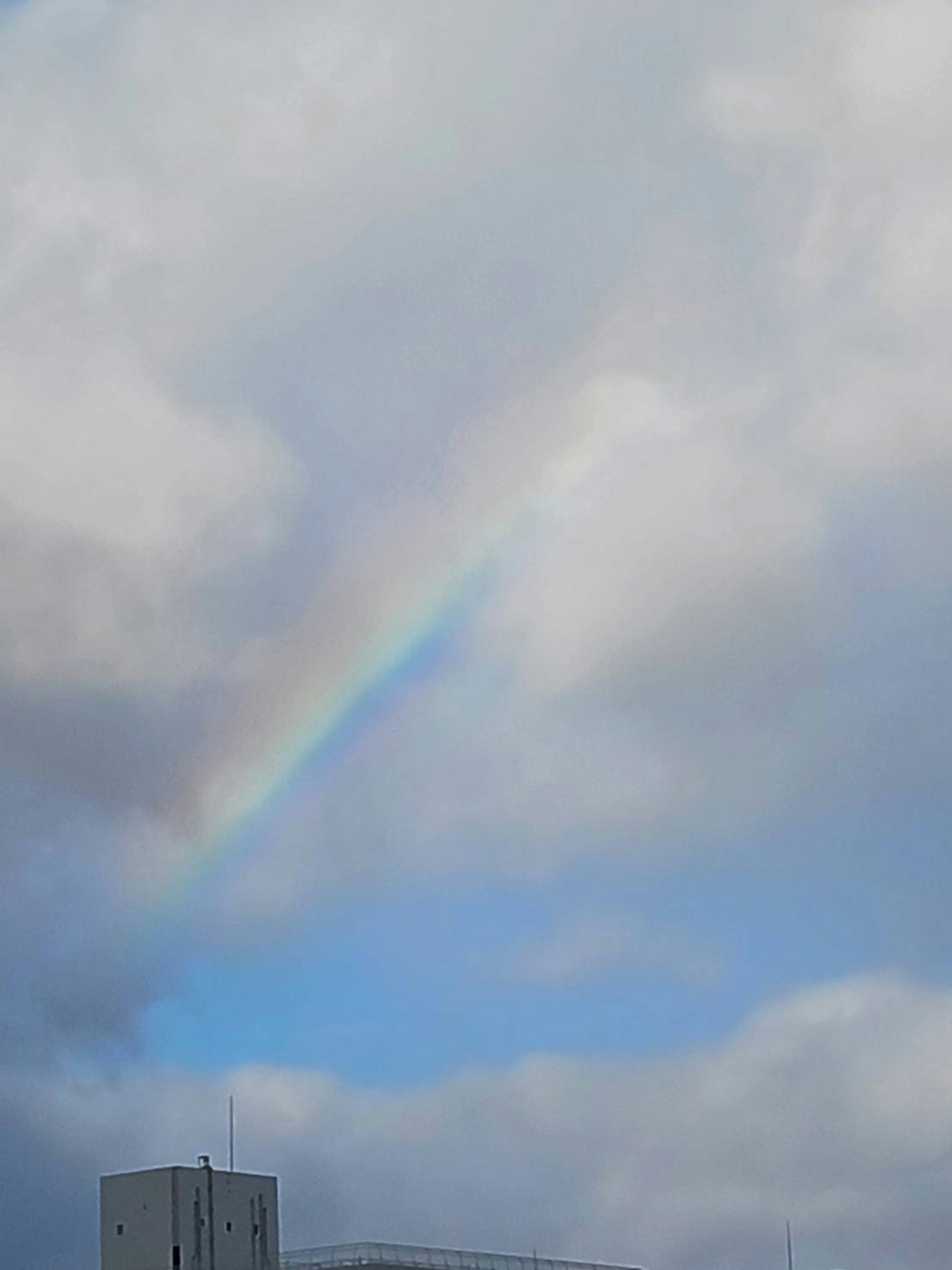 青空と雲の間にかかる虹