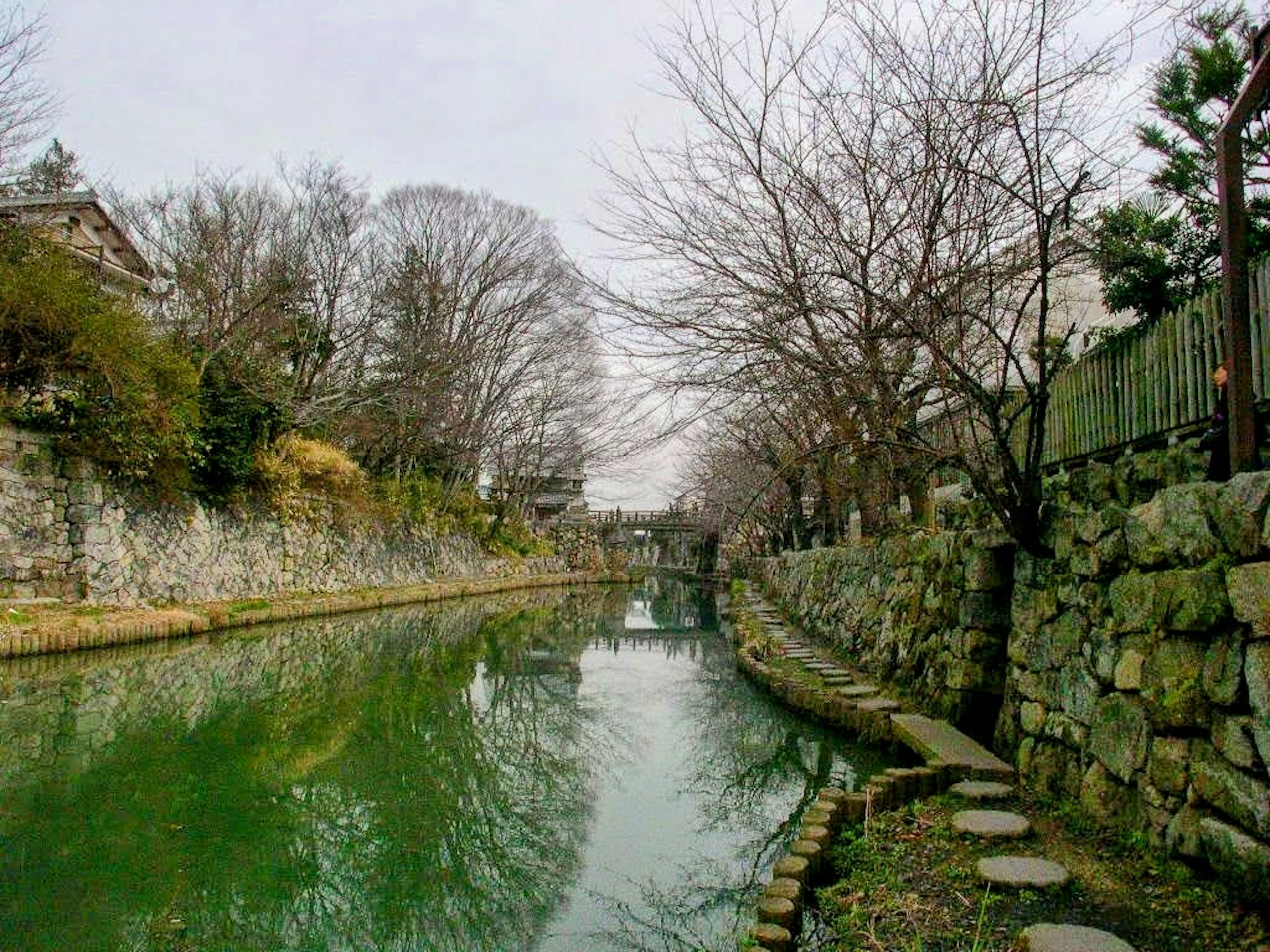 Serene riverside scene with bare trees and stone walls