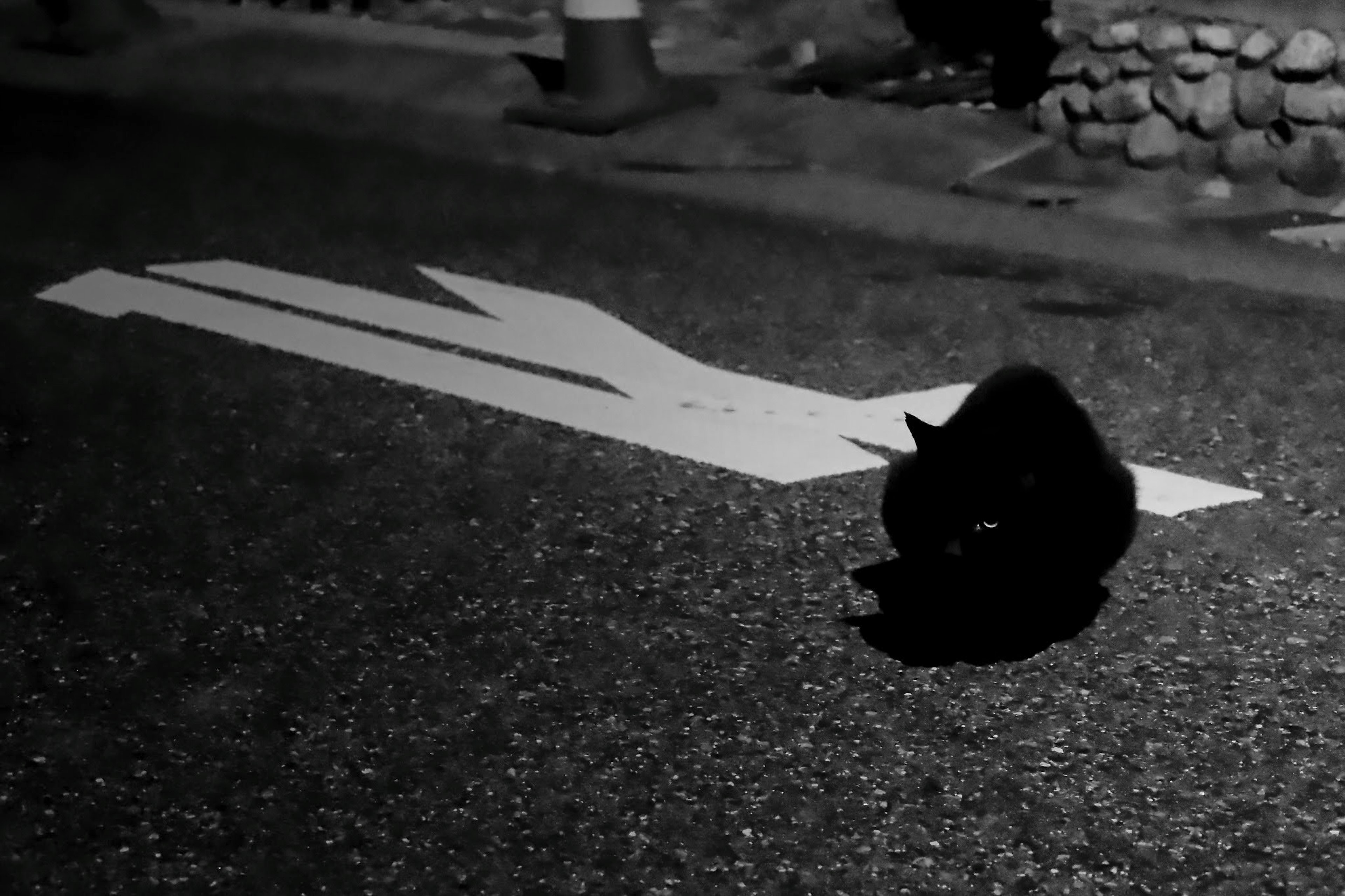 Un chat noir assis sur une route avec une flèche blanche