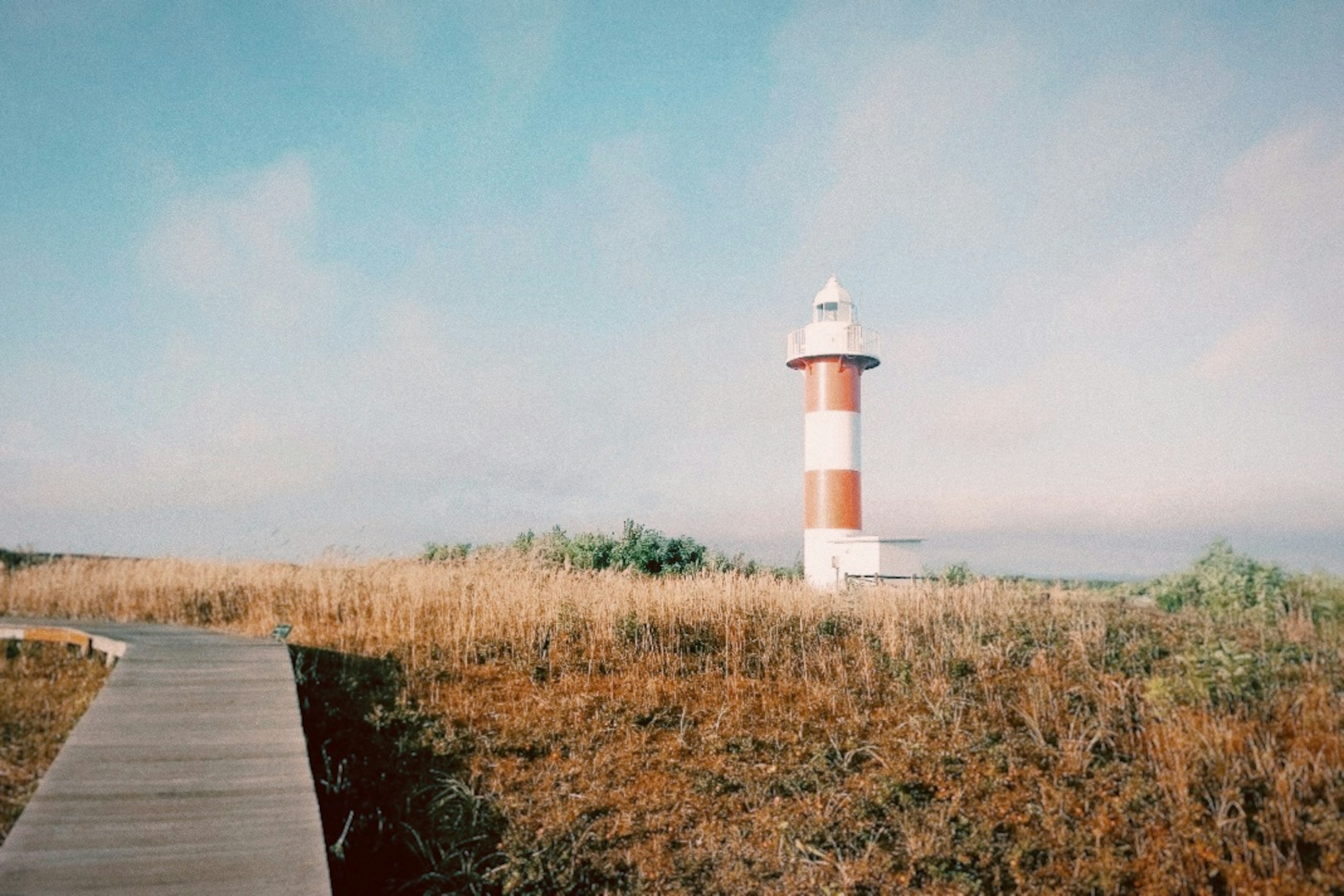 Red and white lighthouse standing in a grassy area under a blue sky