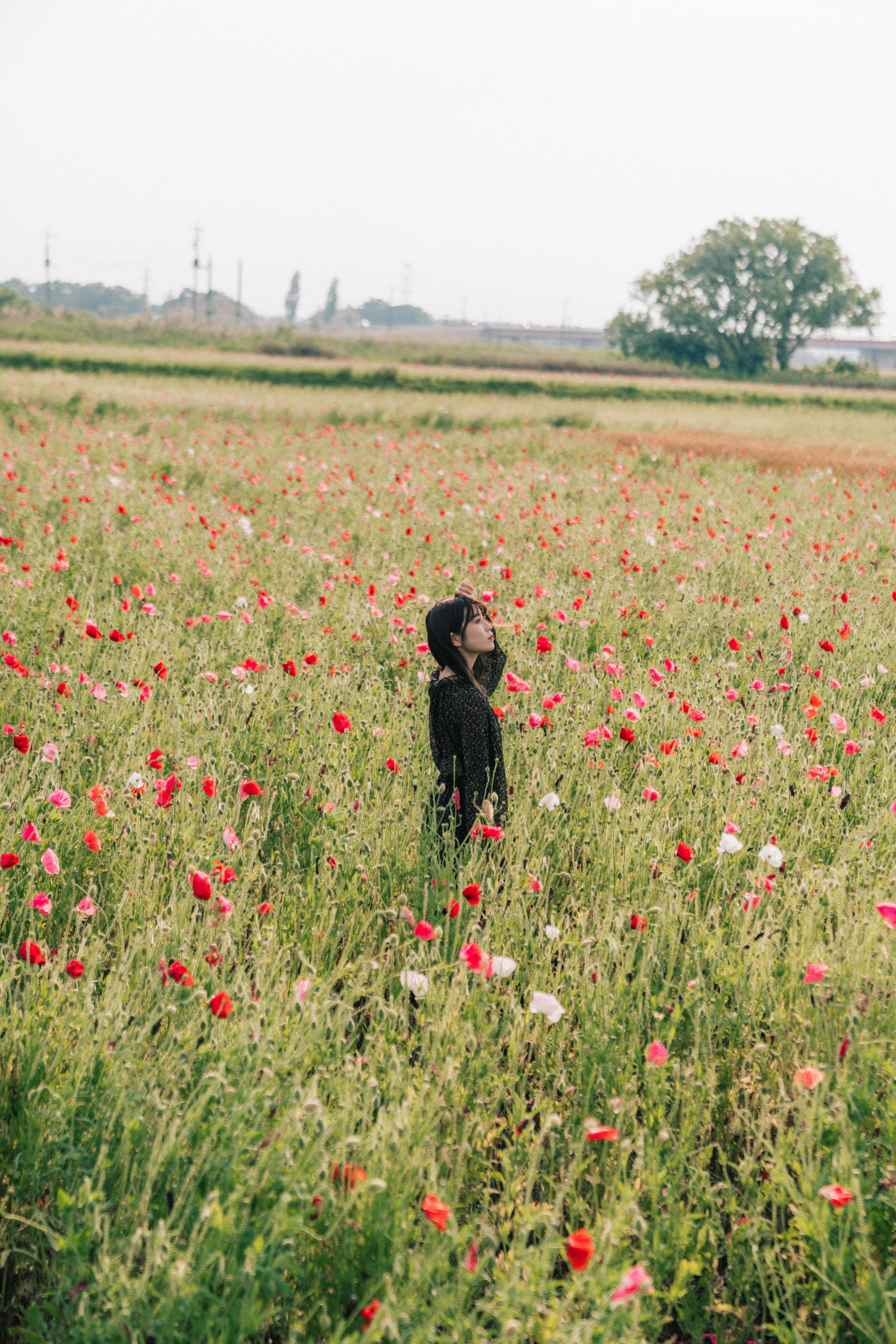 花畑で立っている人物のシルエットと色とりどりの花々