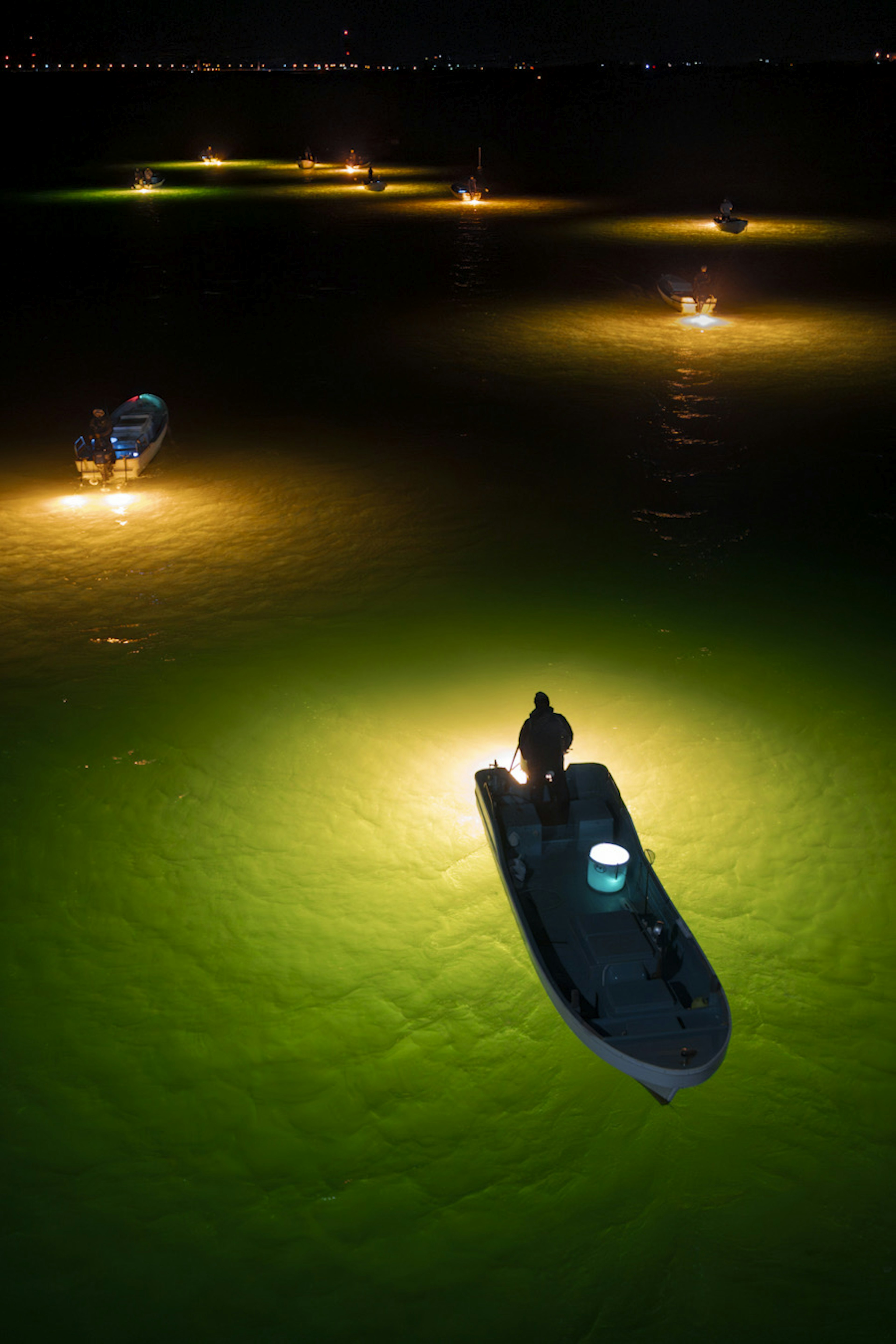 Botes iluminados sobre una superficie de agua verde por la noche