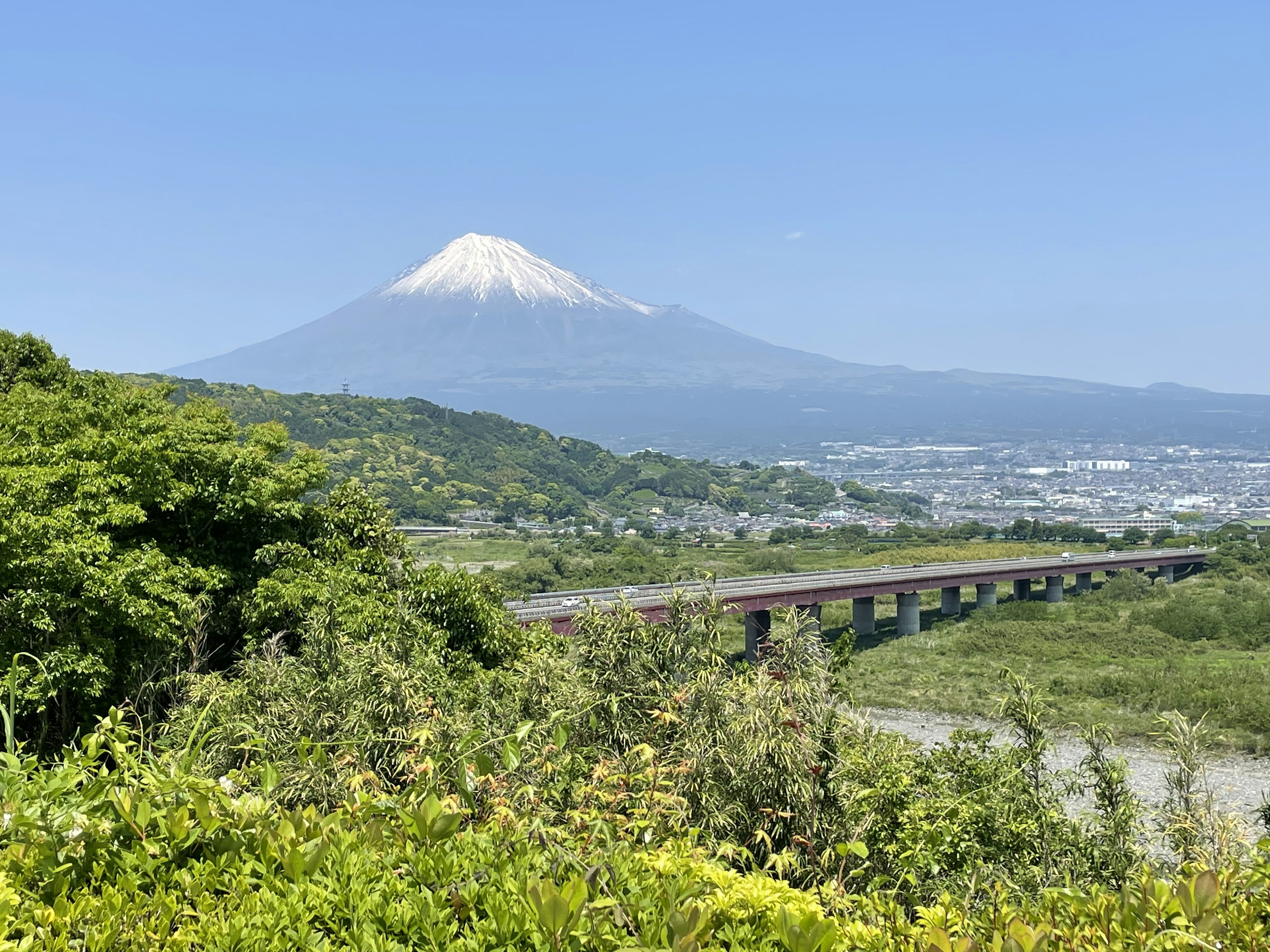 富士山與郁郁蔥蔥的綠地的風景