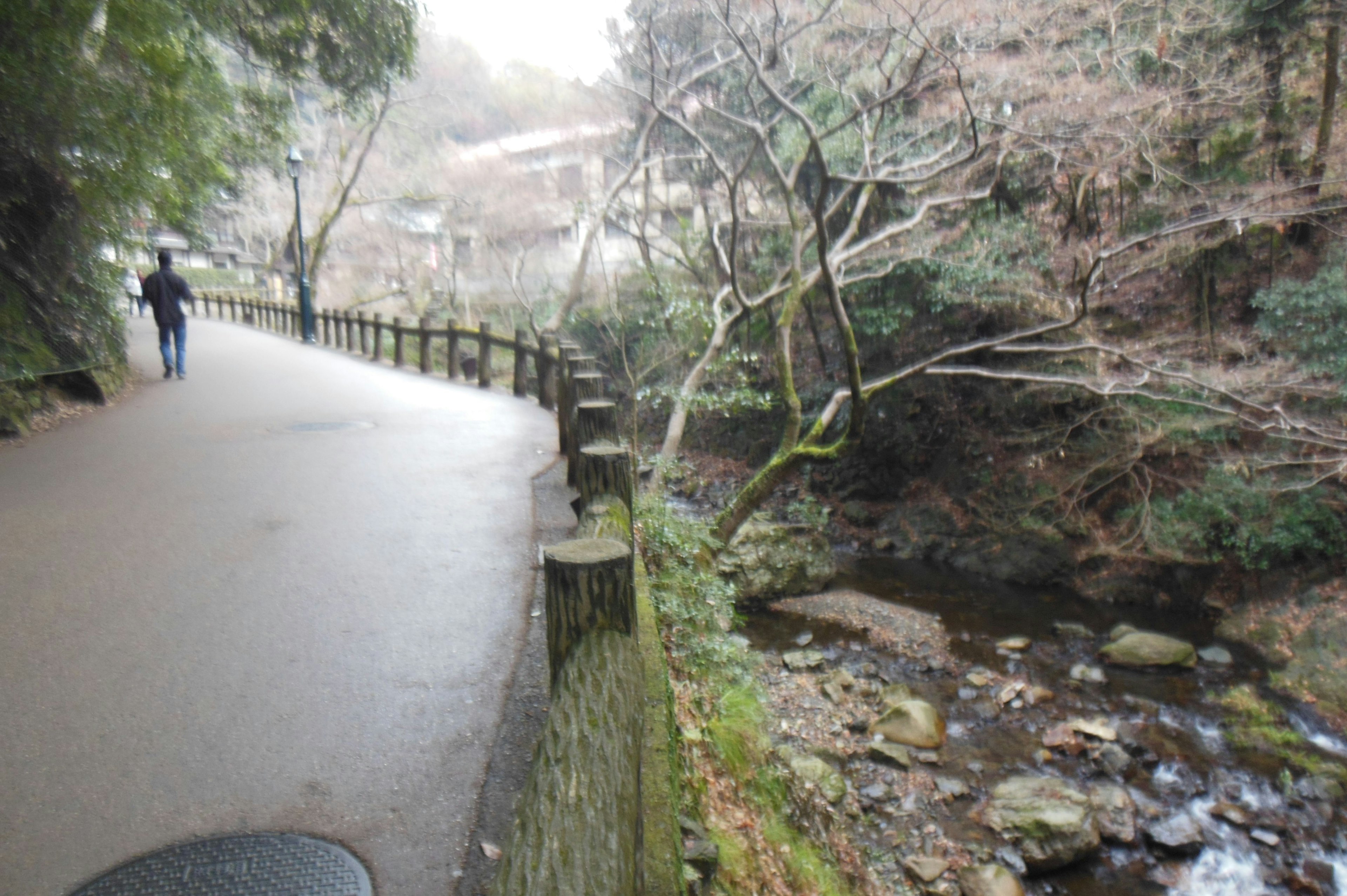 静かな小道と流れる小川の風景