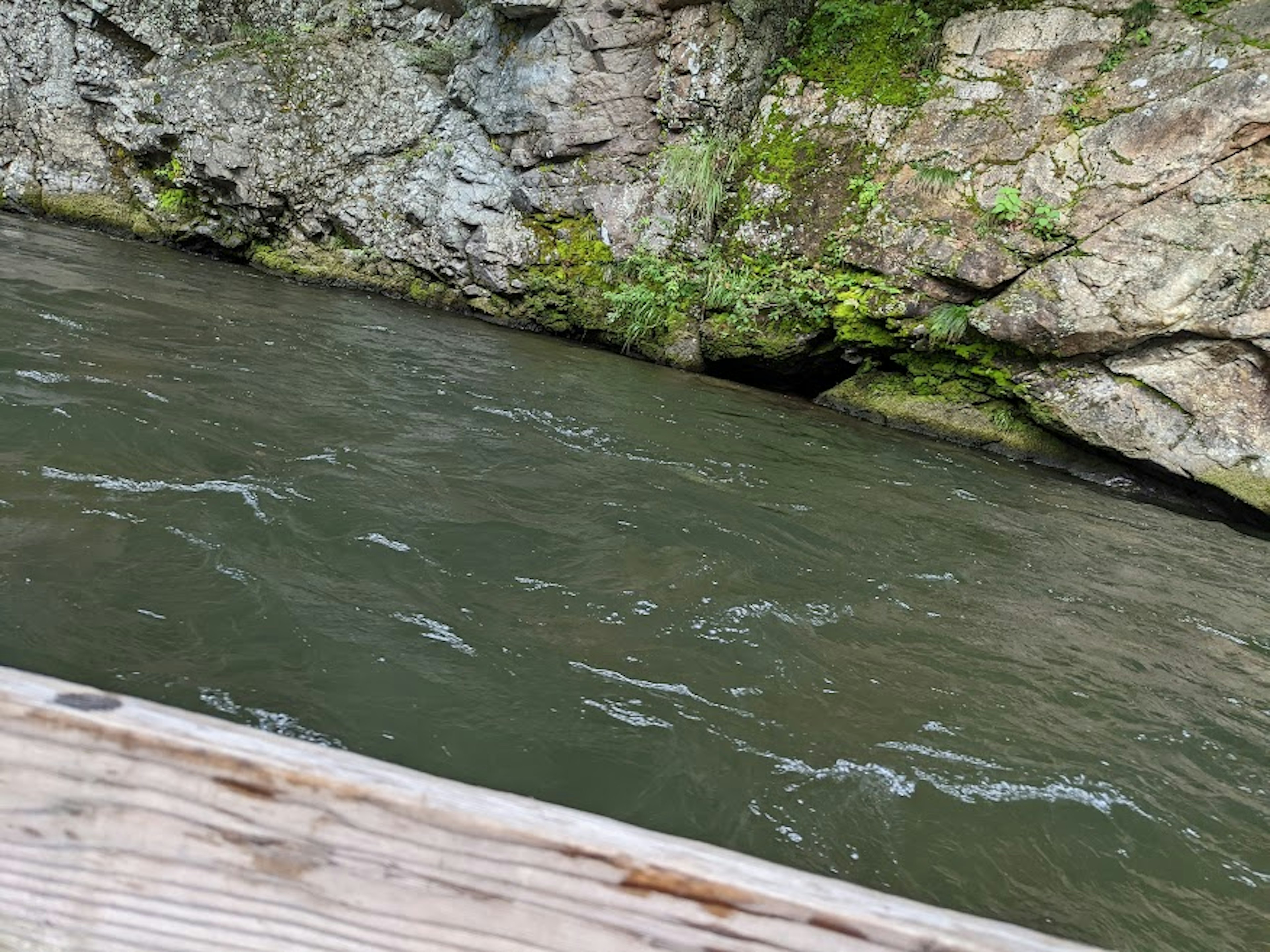 Flowing water and moss-covered rocks in a natural setting