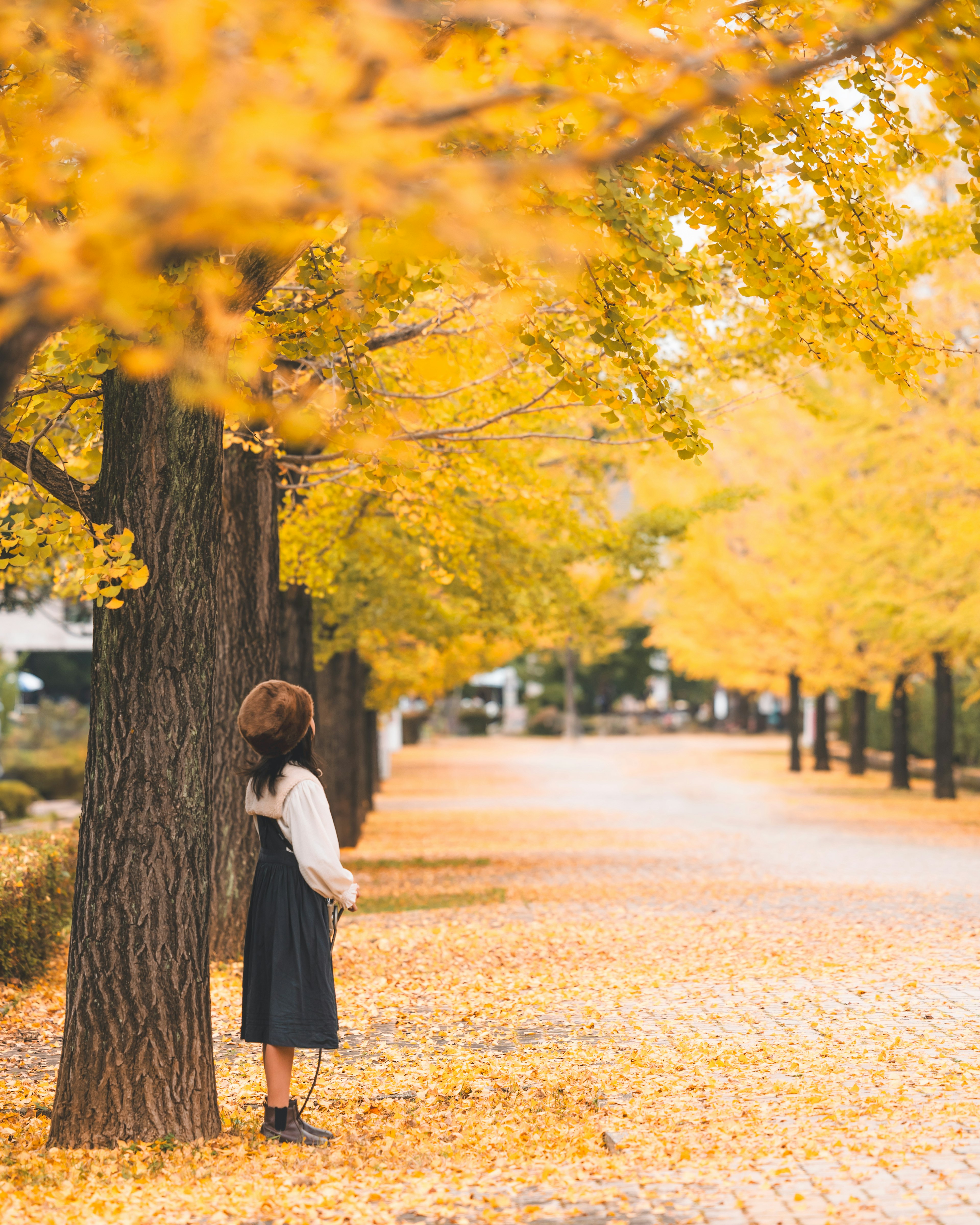 Femme debout sur un chemin entouré d'arbres jaunes vifs