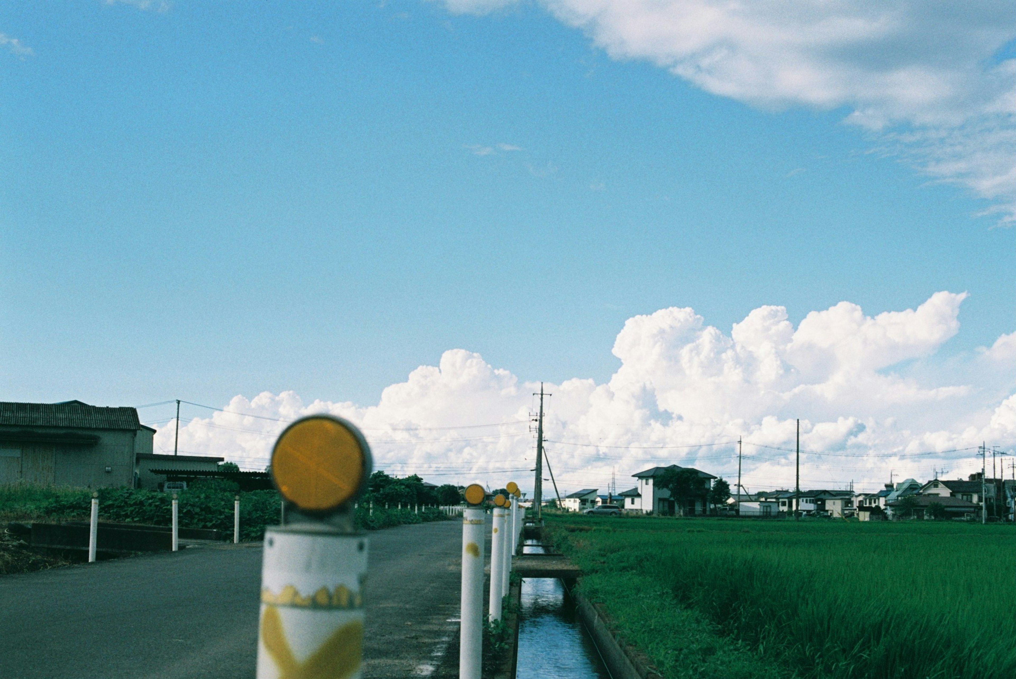 Paesaggio rurale con cielo blu e nuvole bianche lungo una strada e un canale