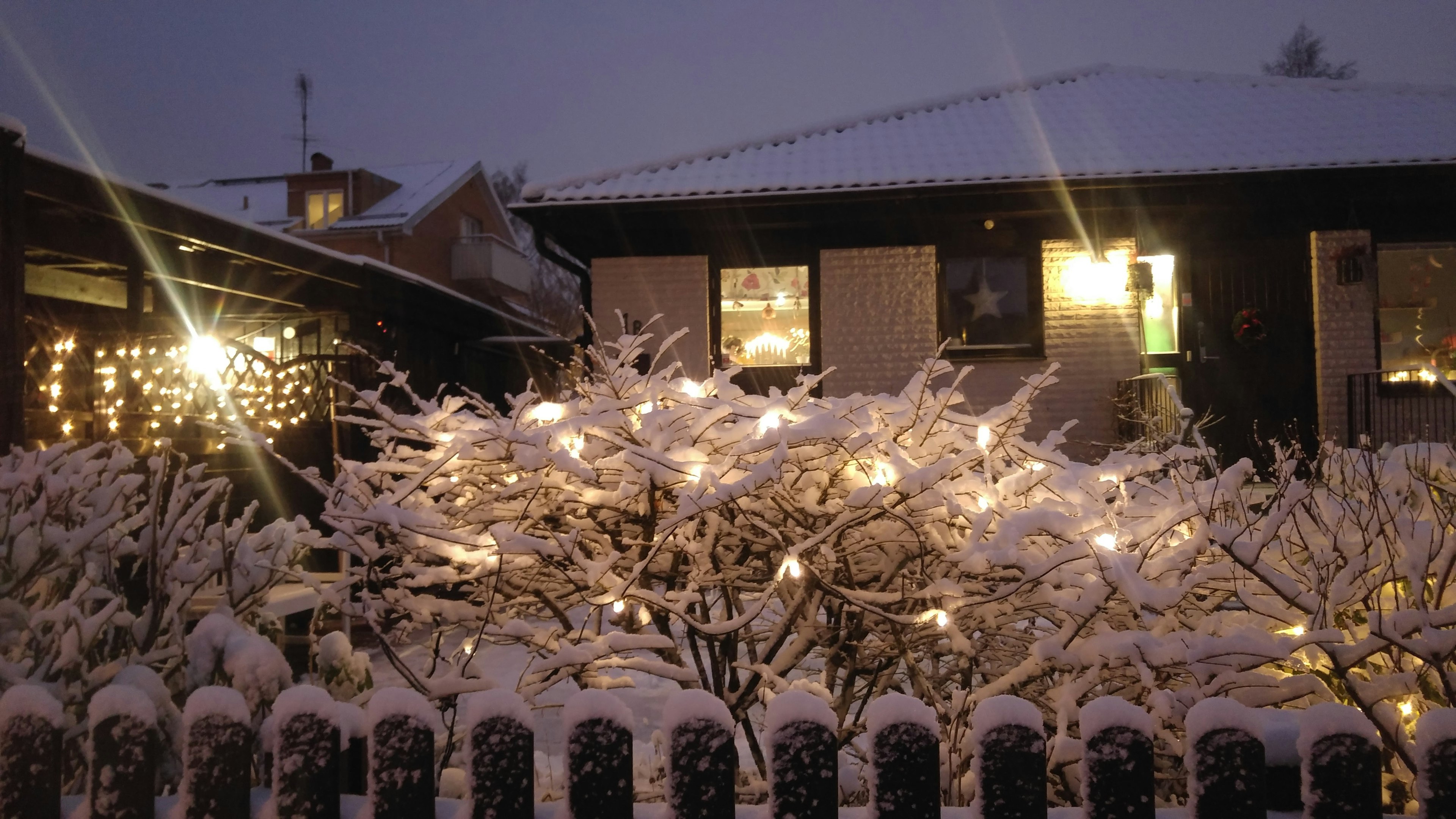 Snow-covered garden with illuminated house at night