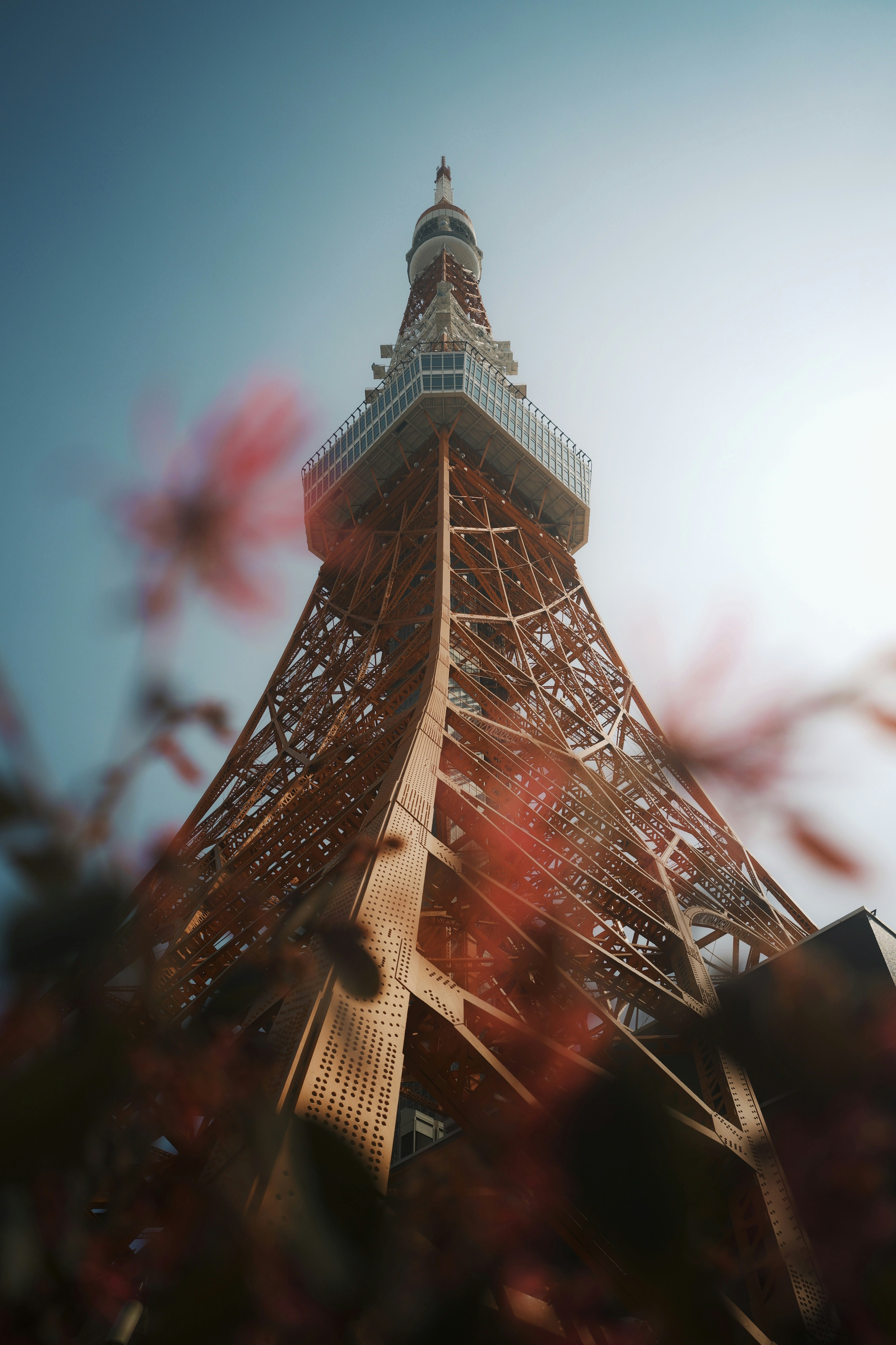 Blick auf den Tokyo Tower von unten mit Blumen im Vordergrund