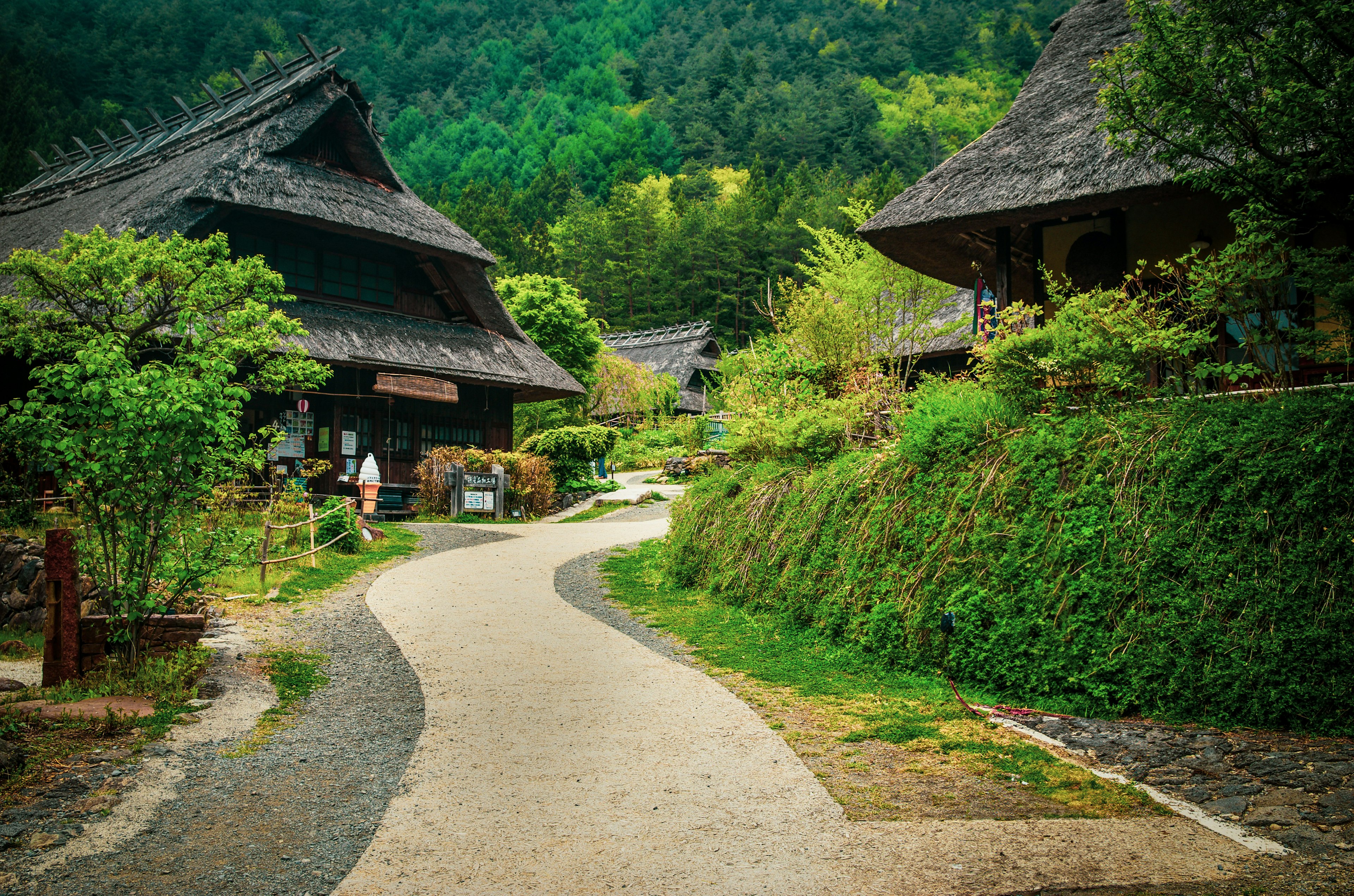 Paisaje de un pueblo japonés tradicional rodeado de montañas verdes