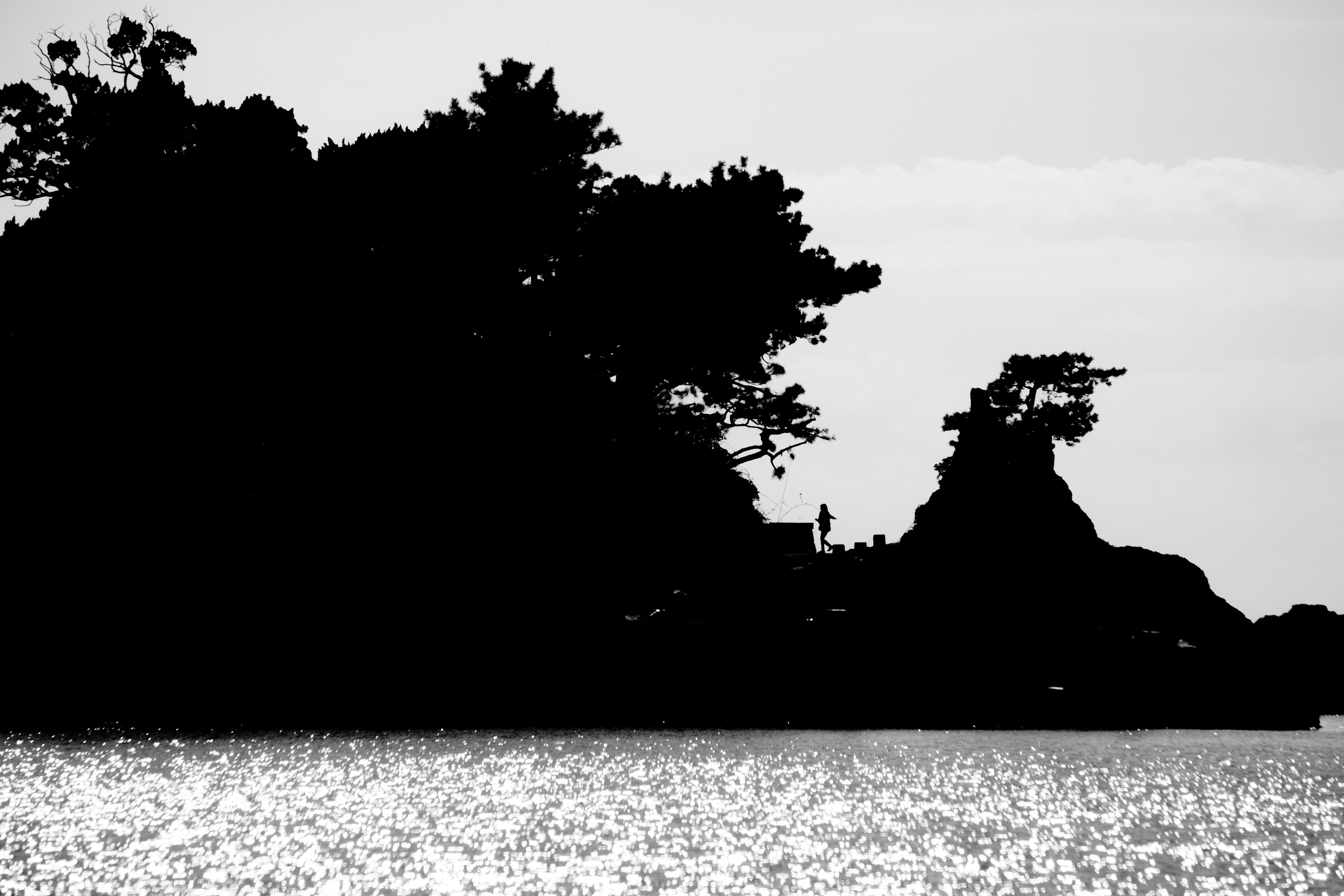 Monochrome image of silhouetted trees against a tranquil sea