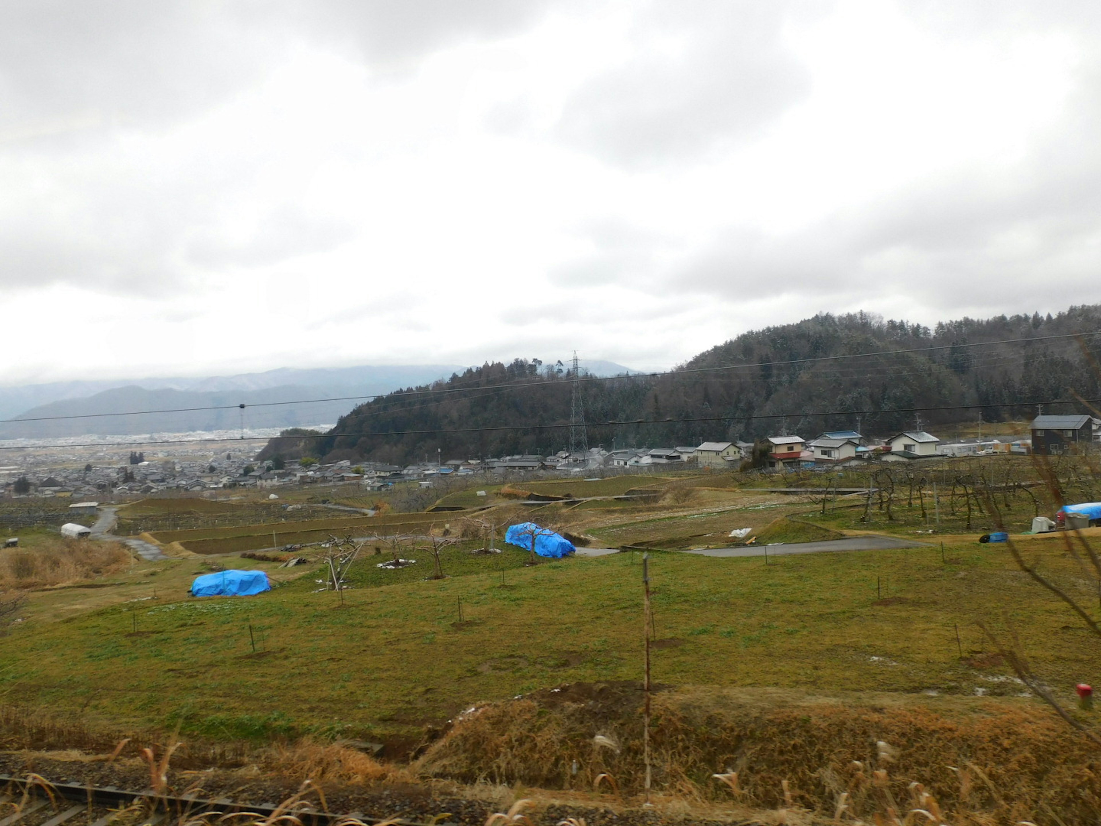 青いシートで覆われた田んぼと山々が広がる風景