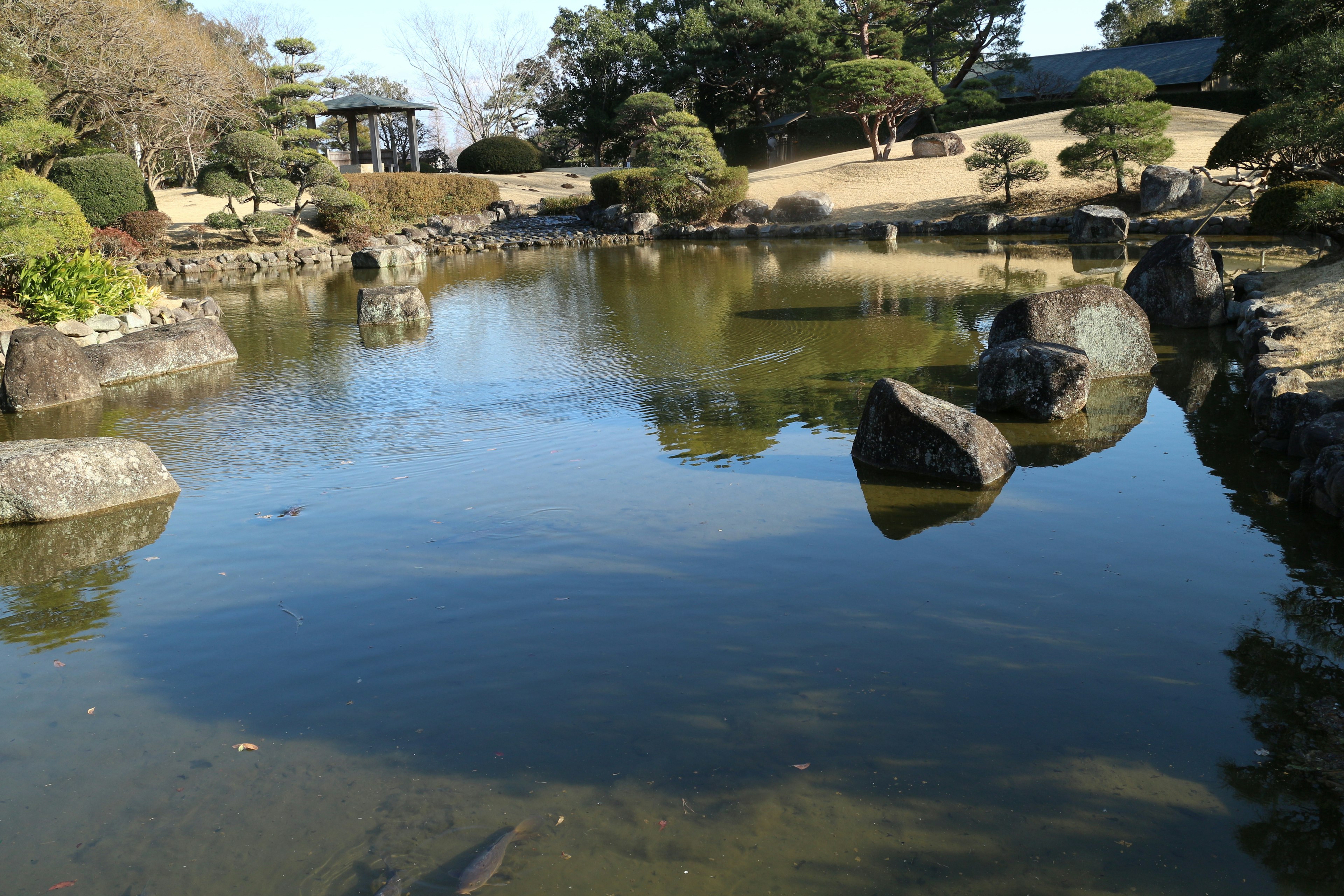 宁静的池塘被景观花园环绕