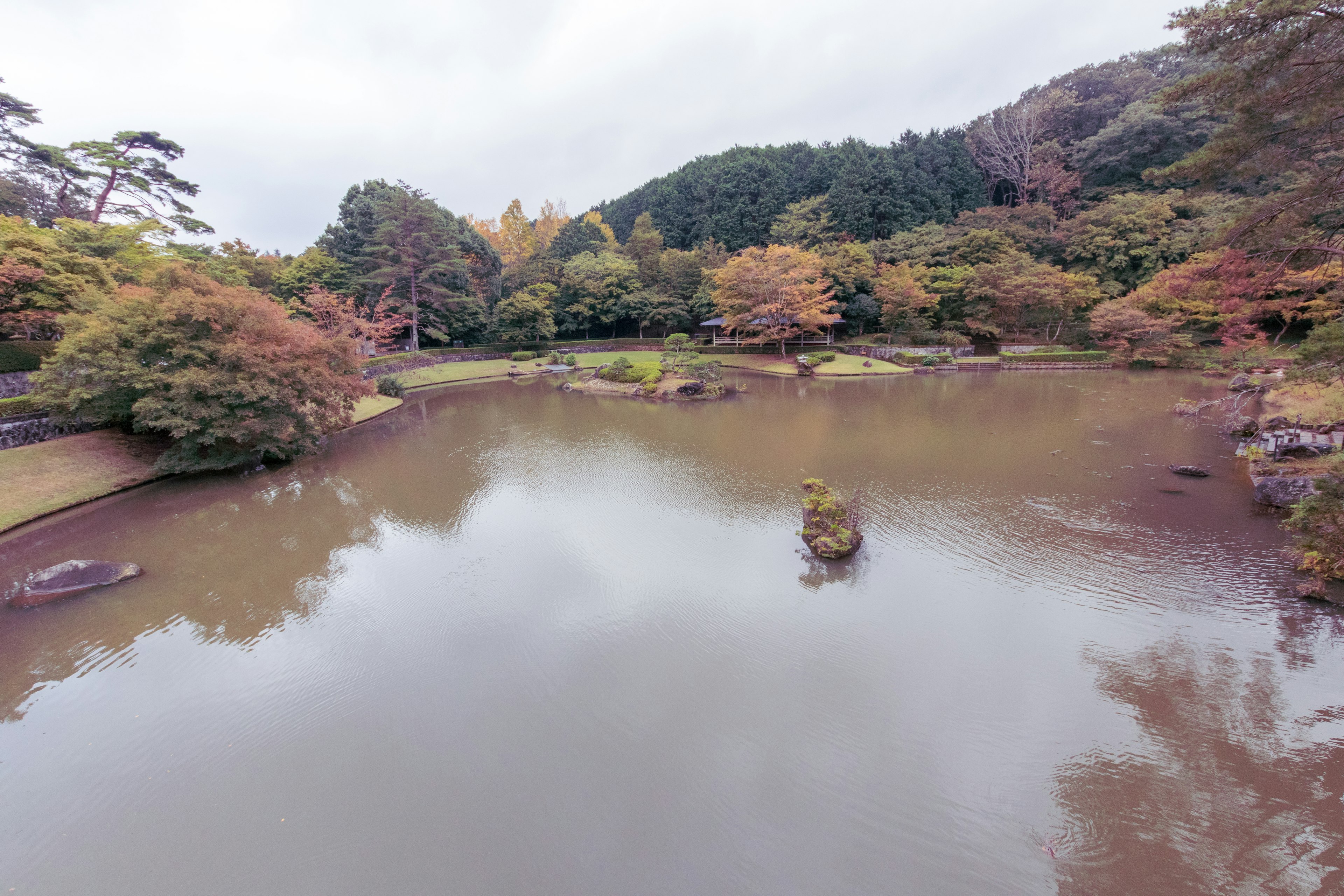 静かな池と周囲の木々が美しい公園の風景