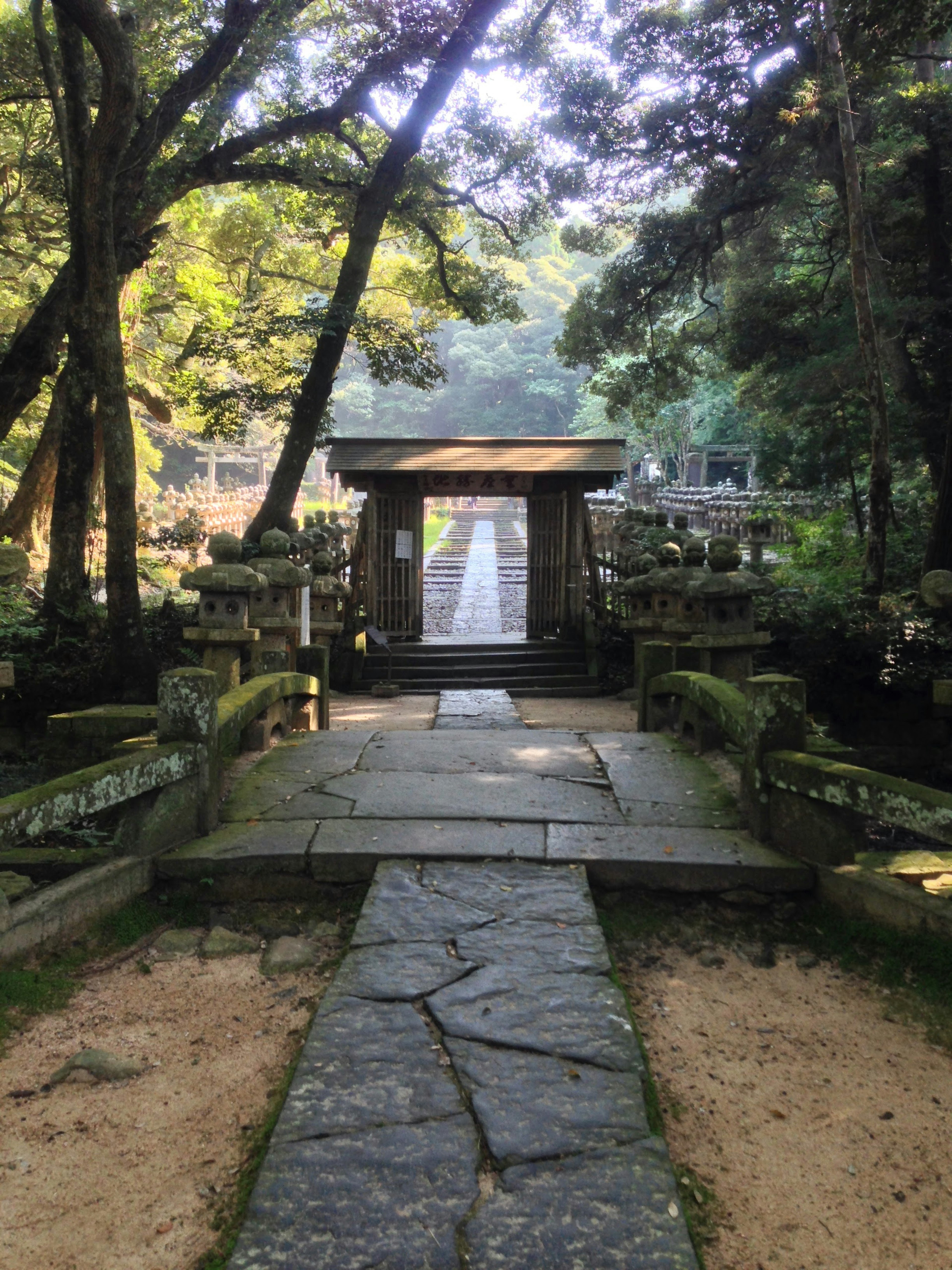 静かな森の中の石の小道と神社の門が見える風景