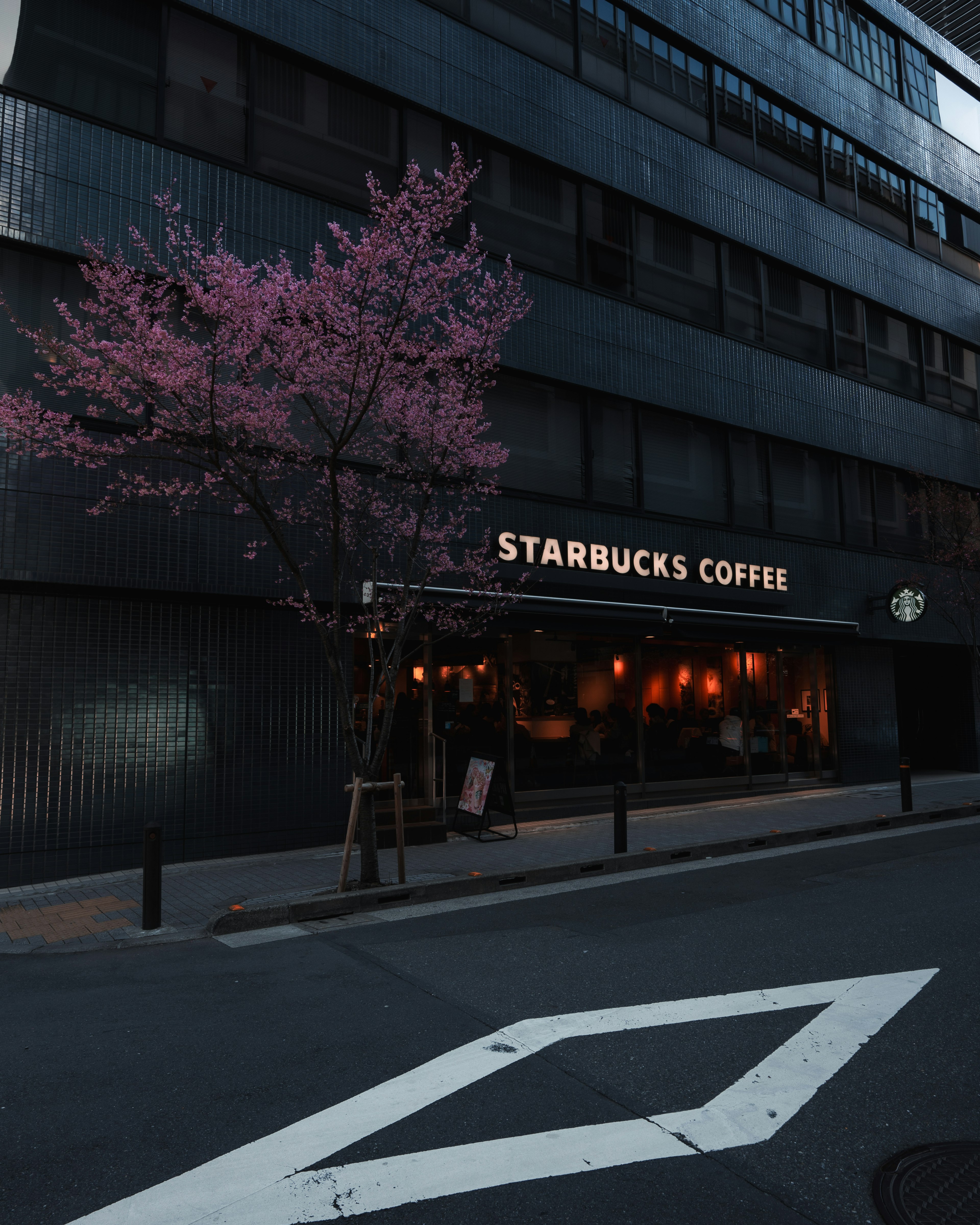 Vista exterior de Starbucks Coffee con un árbol de cerezo en flor