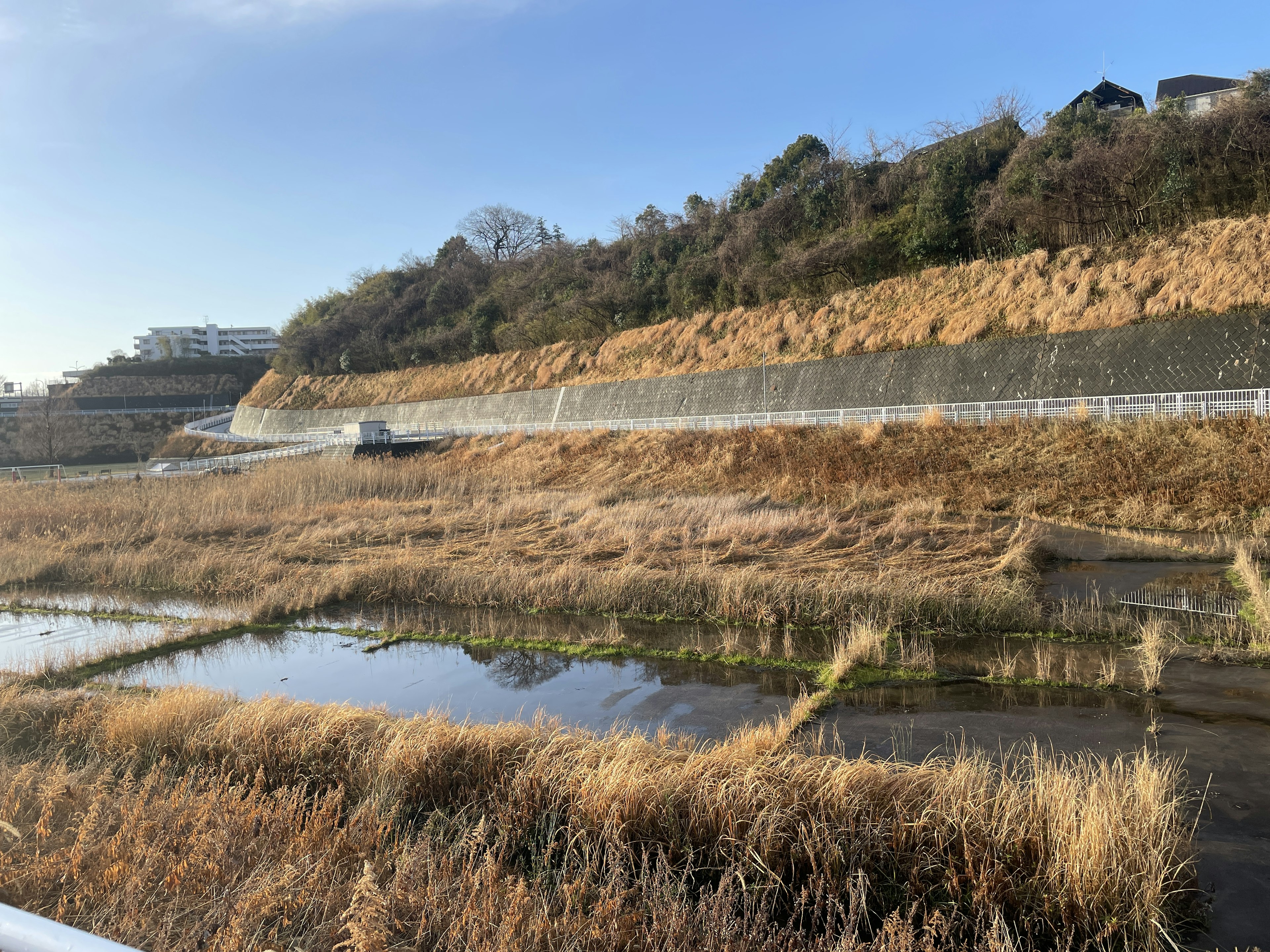 Landscape with grassland and puddles, blue sky and road visible