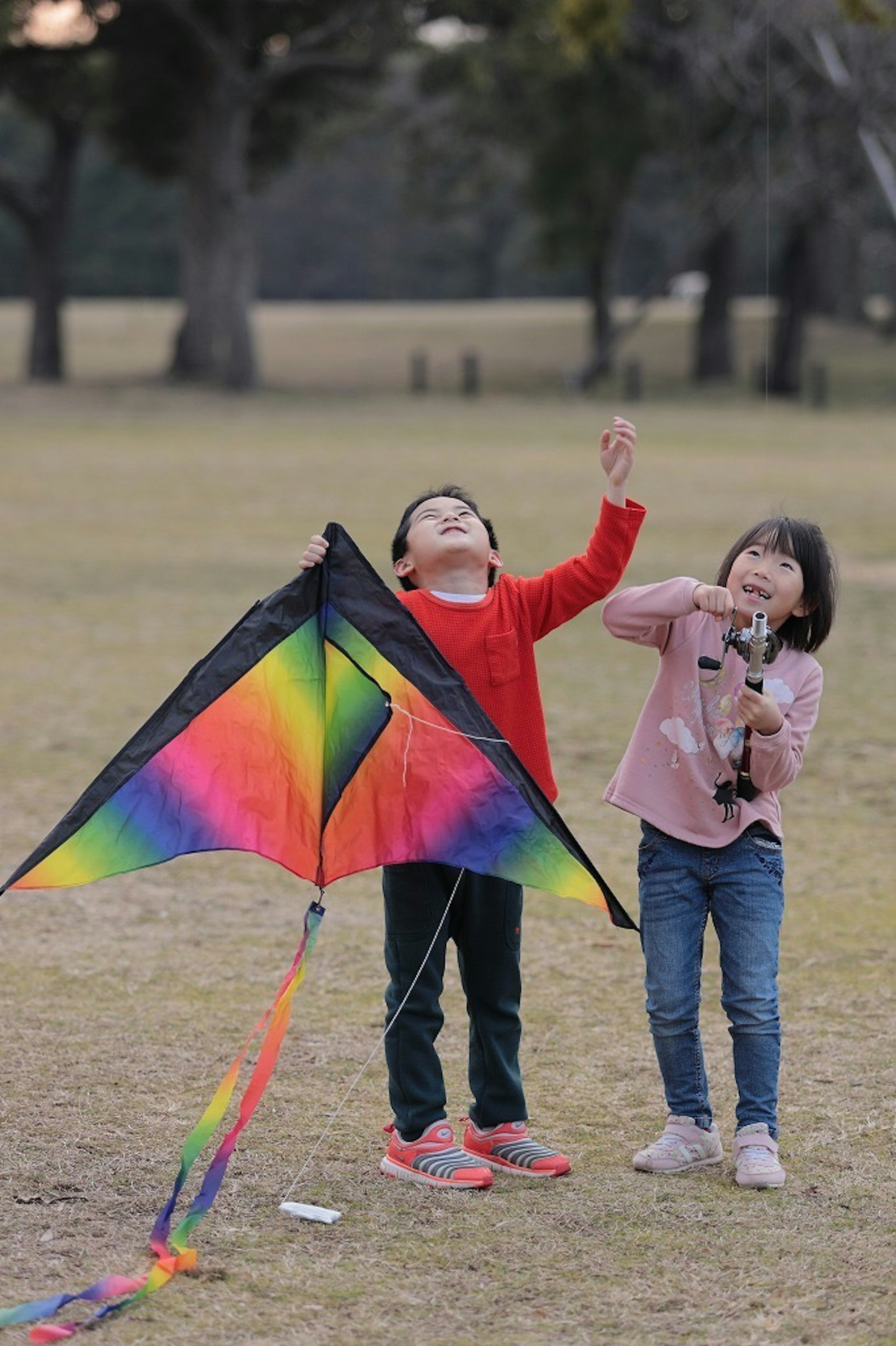 公園裡兩個孩子和一隻彩色的風箏