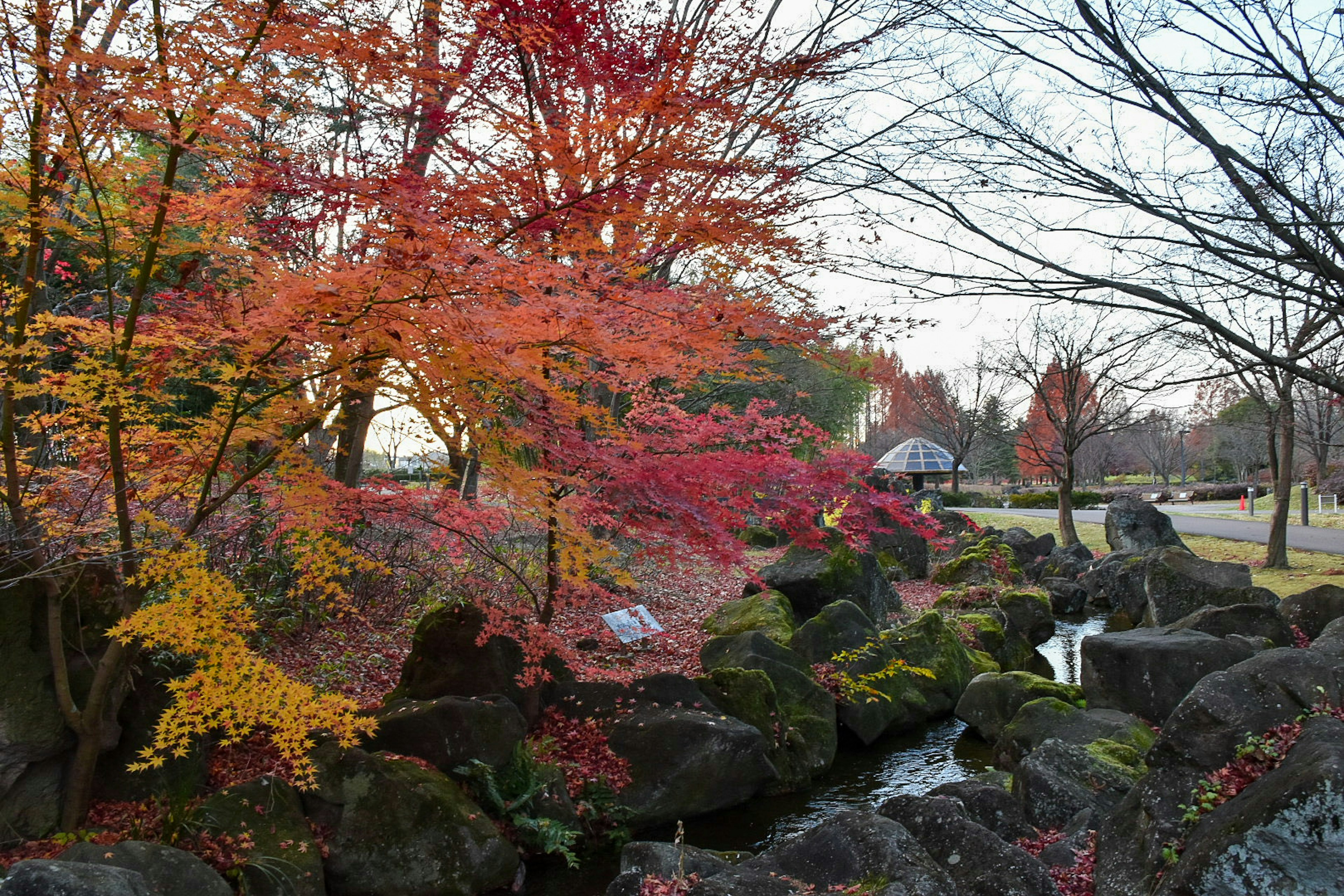 Malersicher Parkblick mit lebhaftem Herbstlaub Felsen und einem fließenden Bach