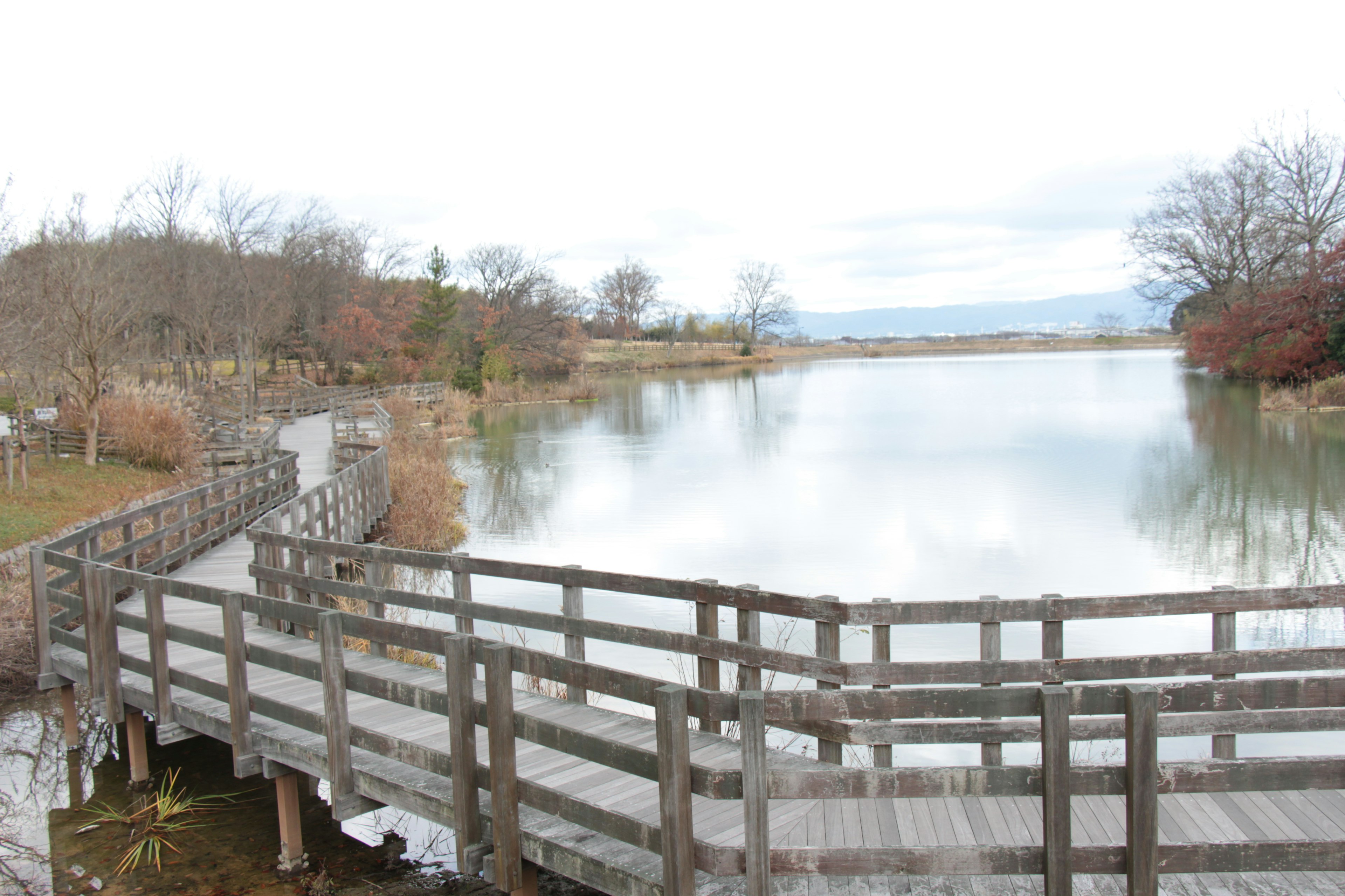 Ein ruhiger See mit einer Holzbrücke und umgebenden Bäumen