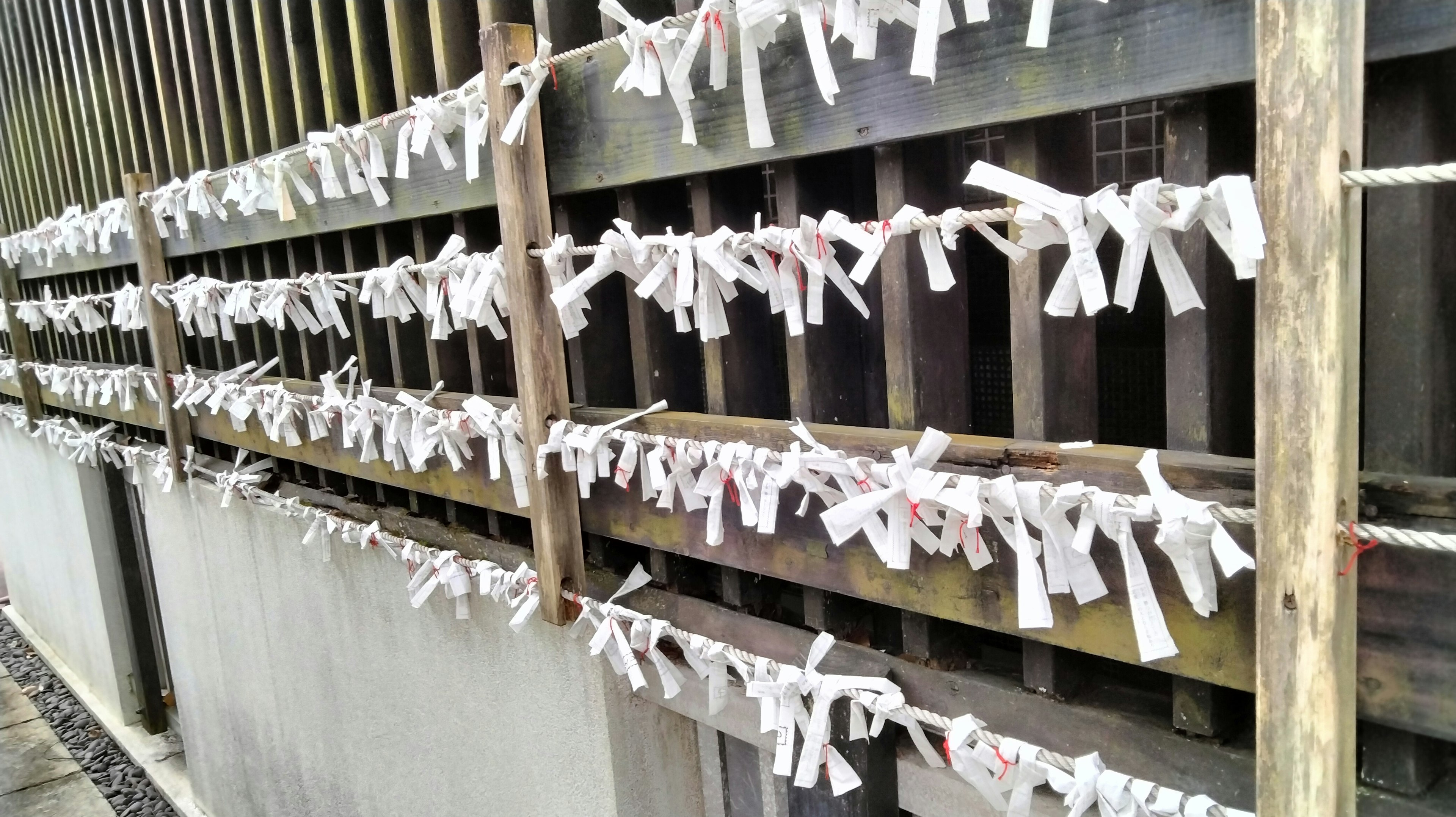 A view of white omikuji tied to a wooden fence