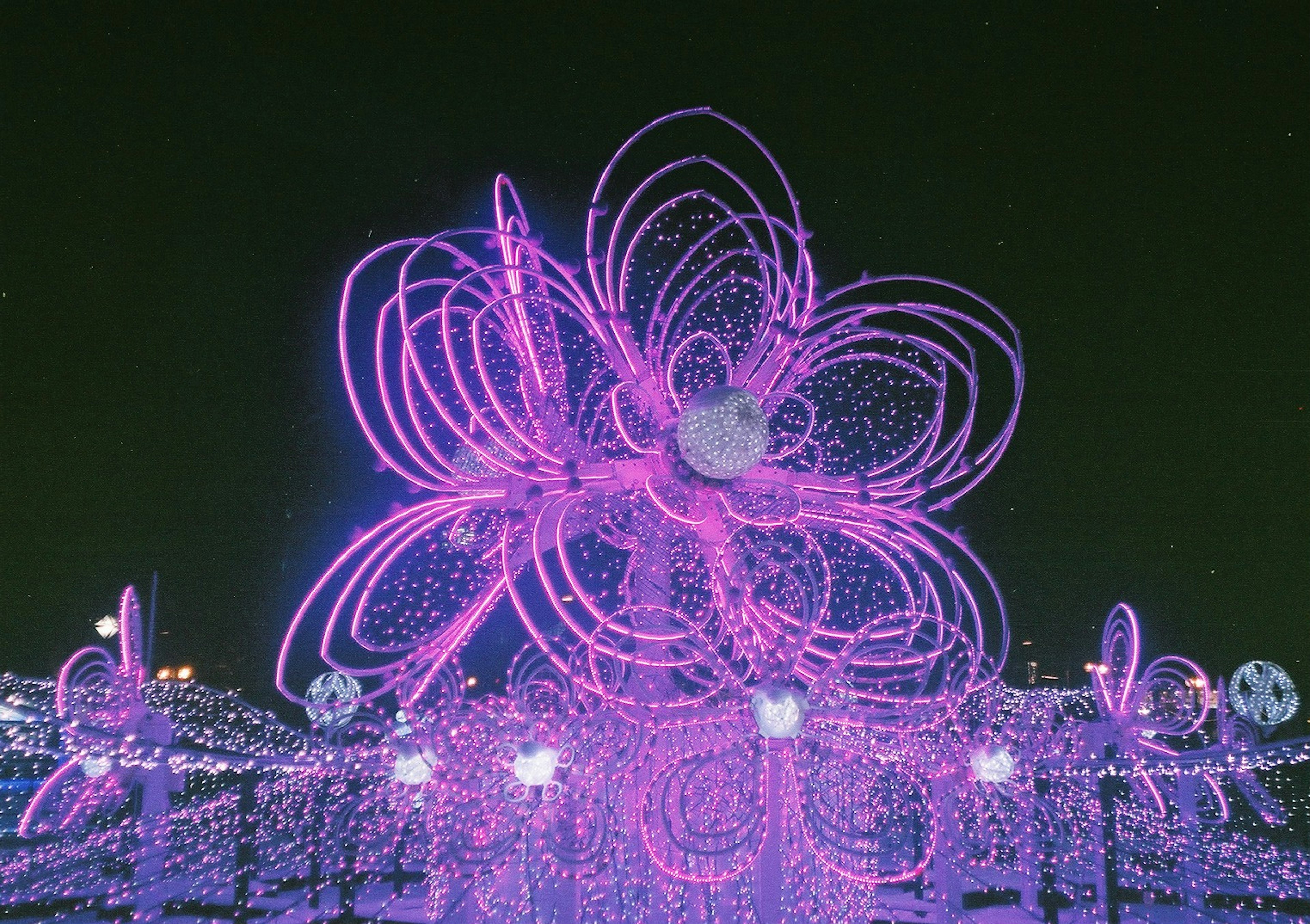 Large pink flower-shaped light art glowing in the night sky