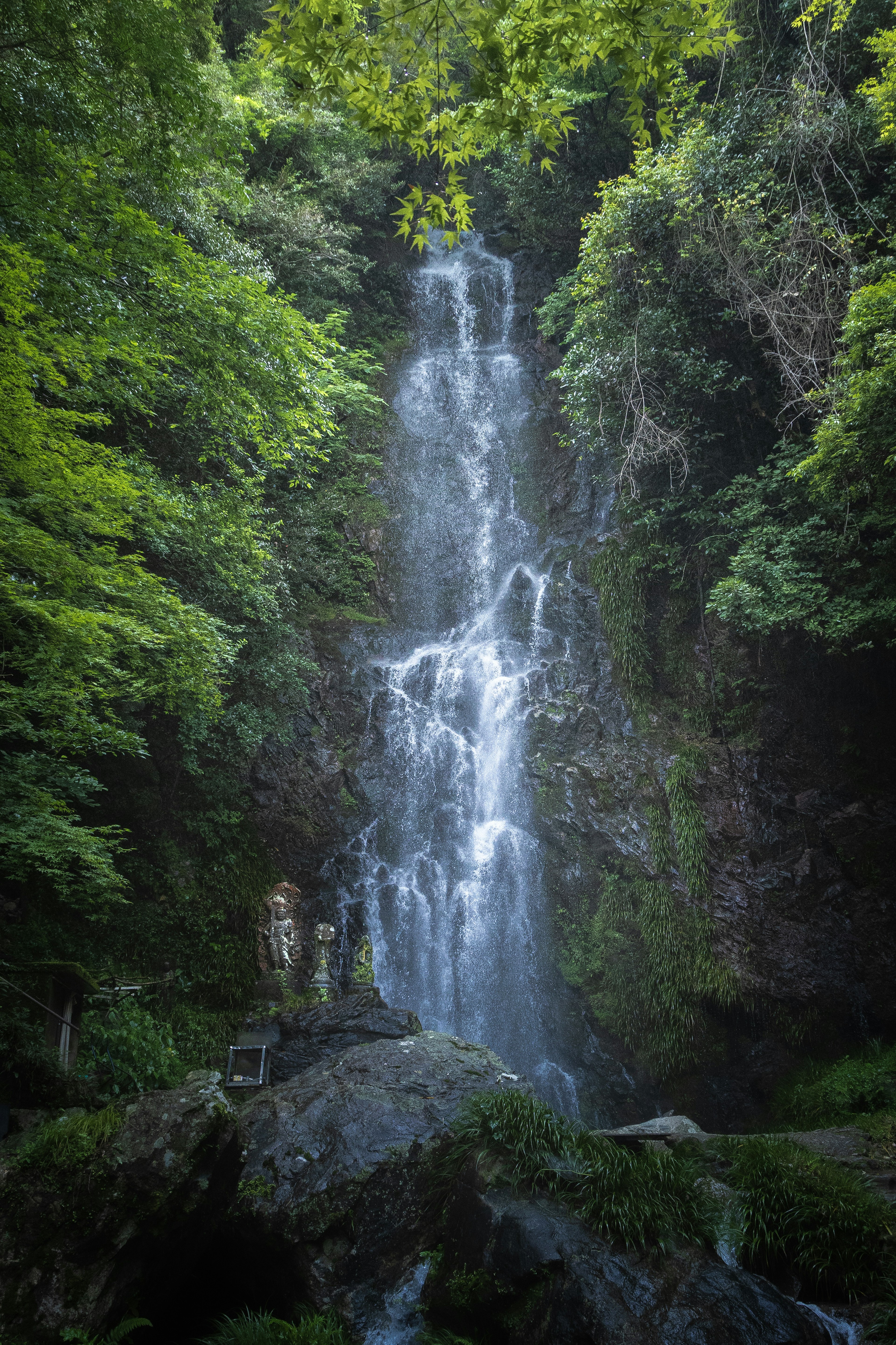 緑に囲まれた美しい滝の風景