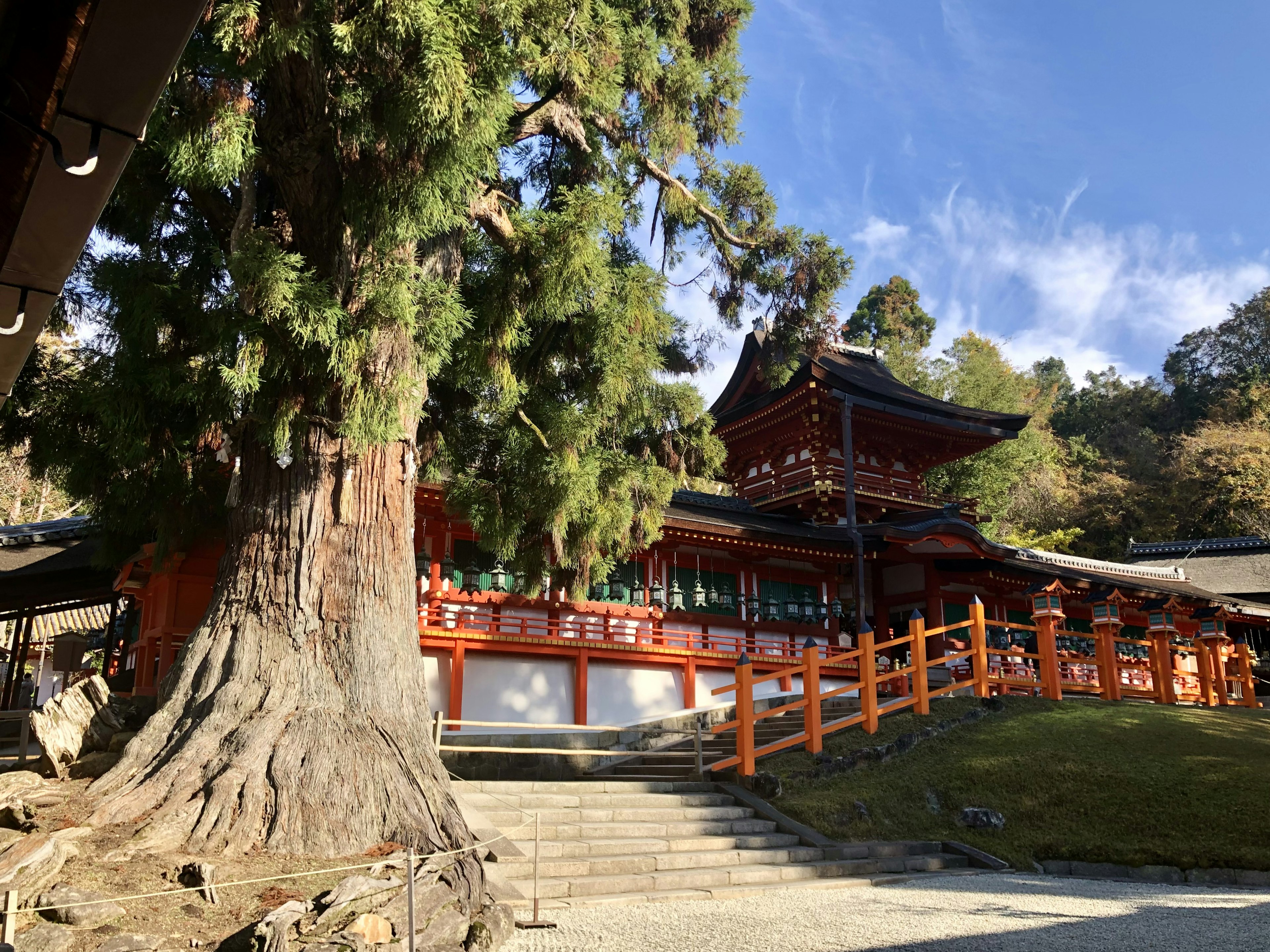 Paysage avec un grand arbre et un bâtiment de sanctuaire rouge