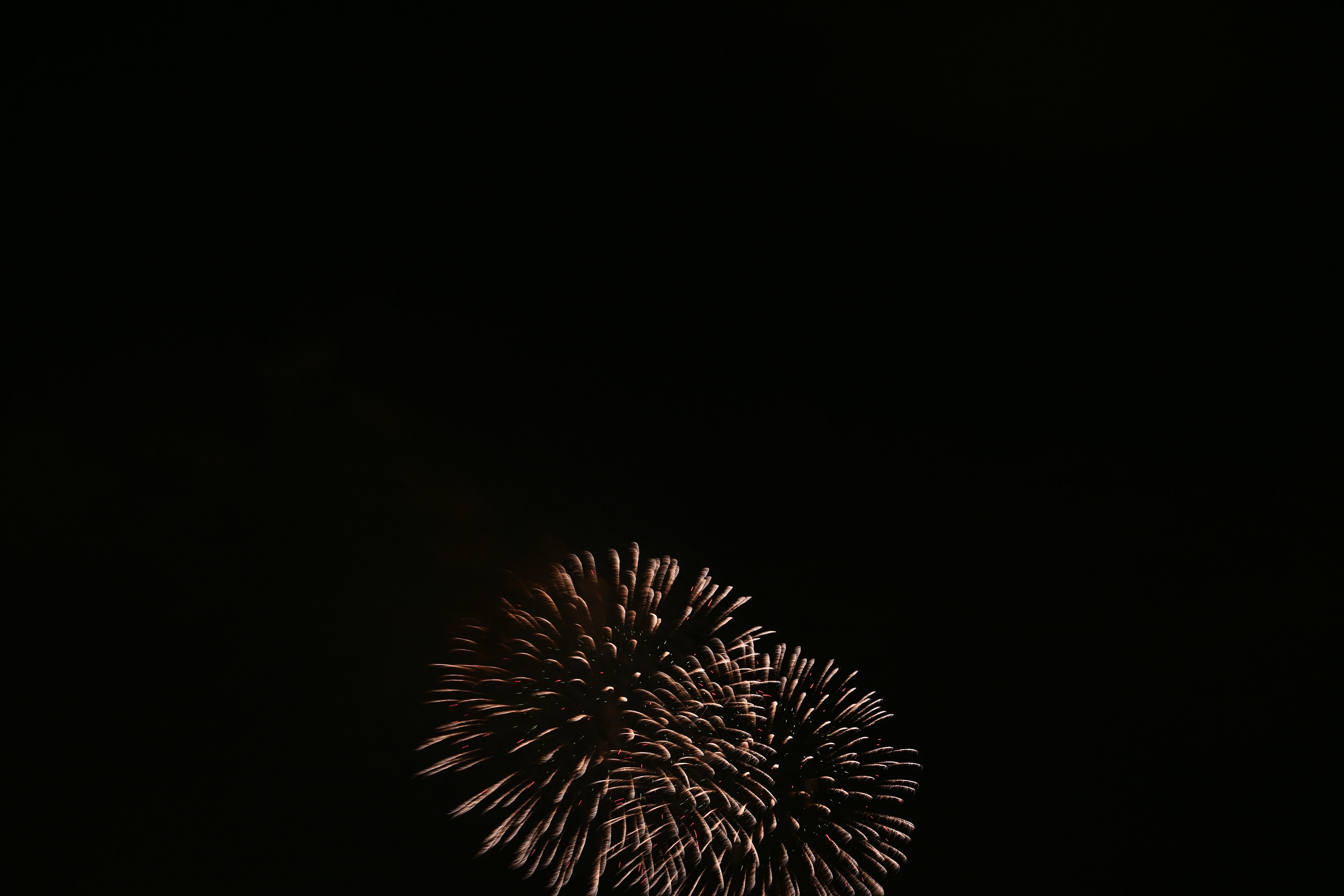 Fireworks bursting in the dark sky