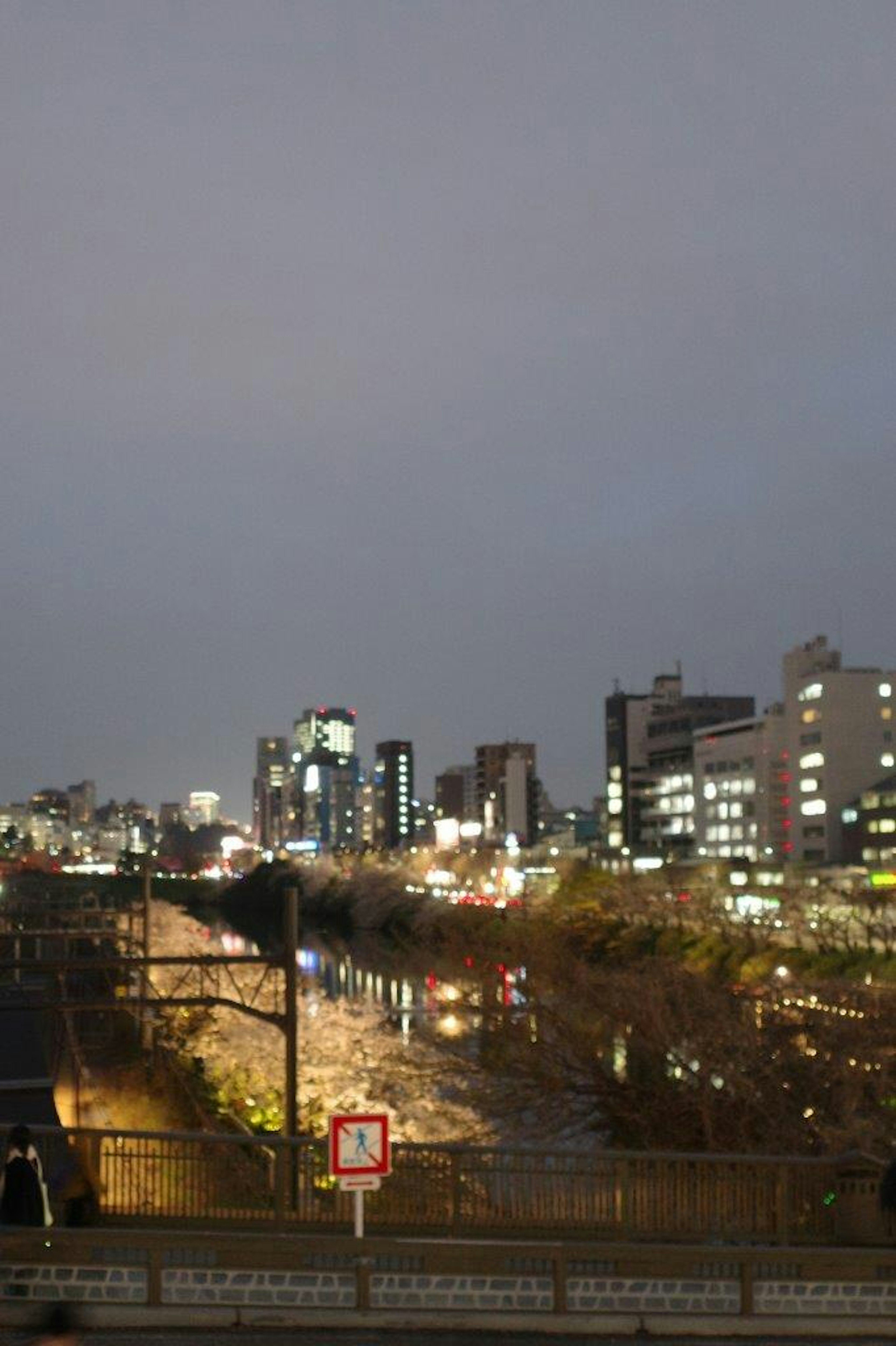 Night cityscape with illuminated buildings and street lights