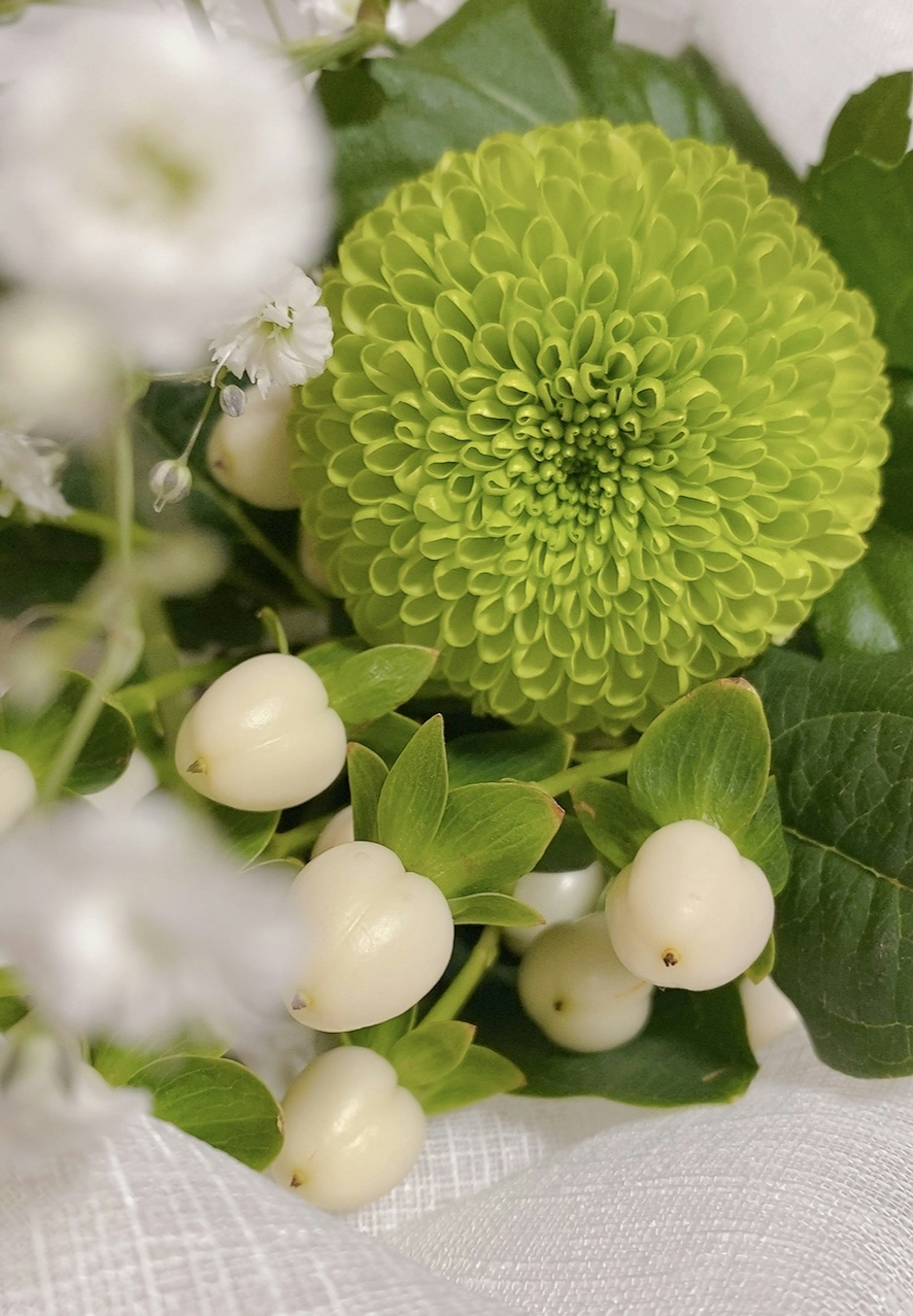 Acercamiento de una flor verde con bayas blancas y hojas