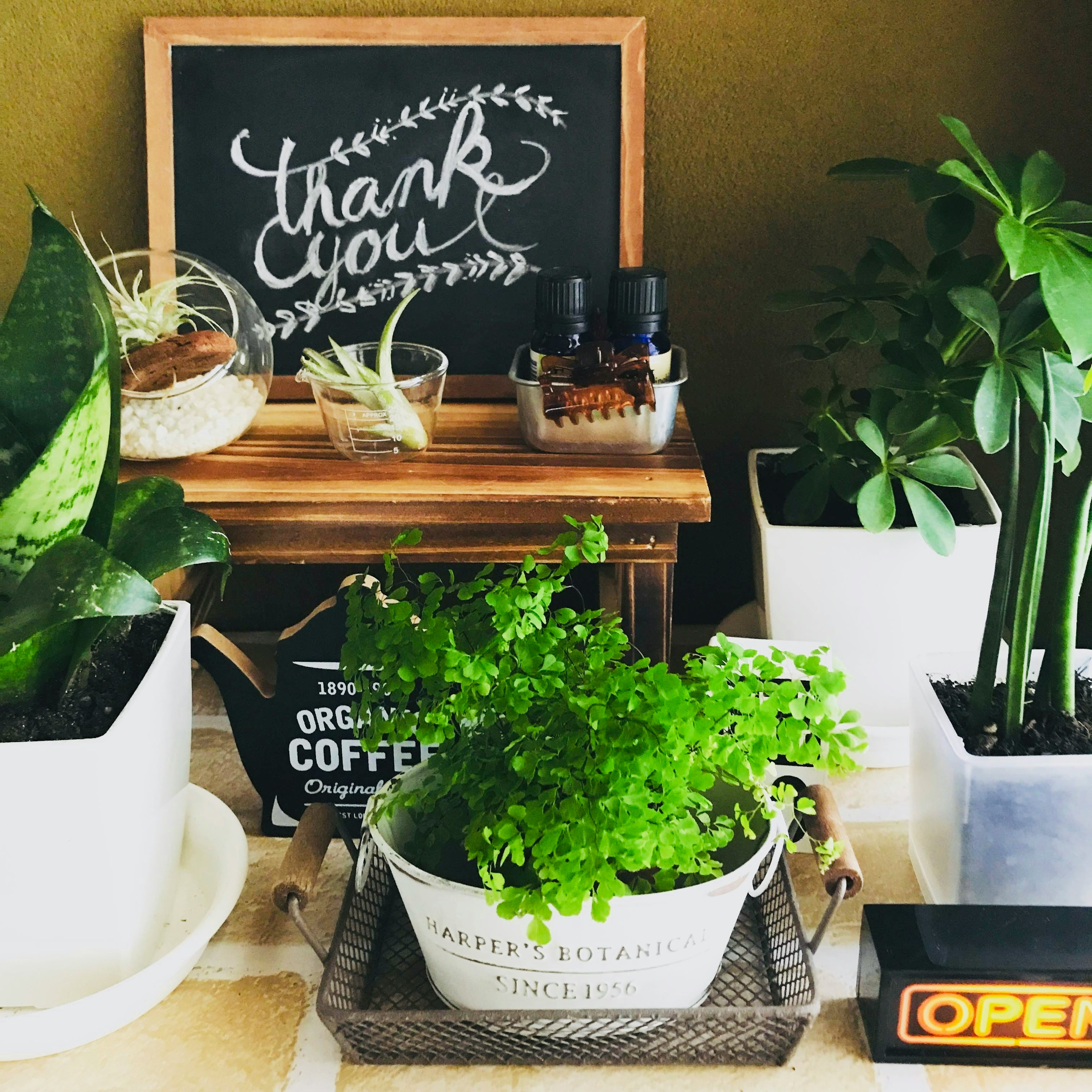 Arrangement décoratif avec des plantes et une note manuscrite de remerciement